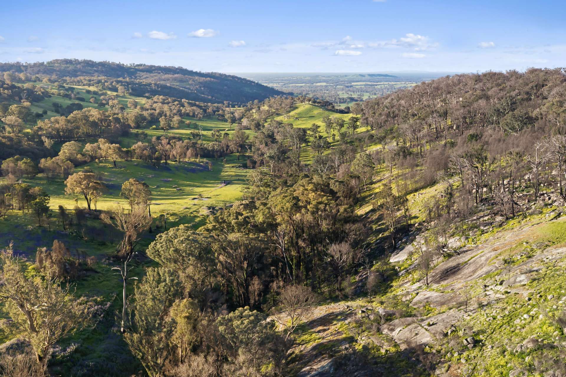 1 Longwood-Ruffy Road, Ruffy For Sale by Farmbuy.com - image 8