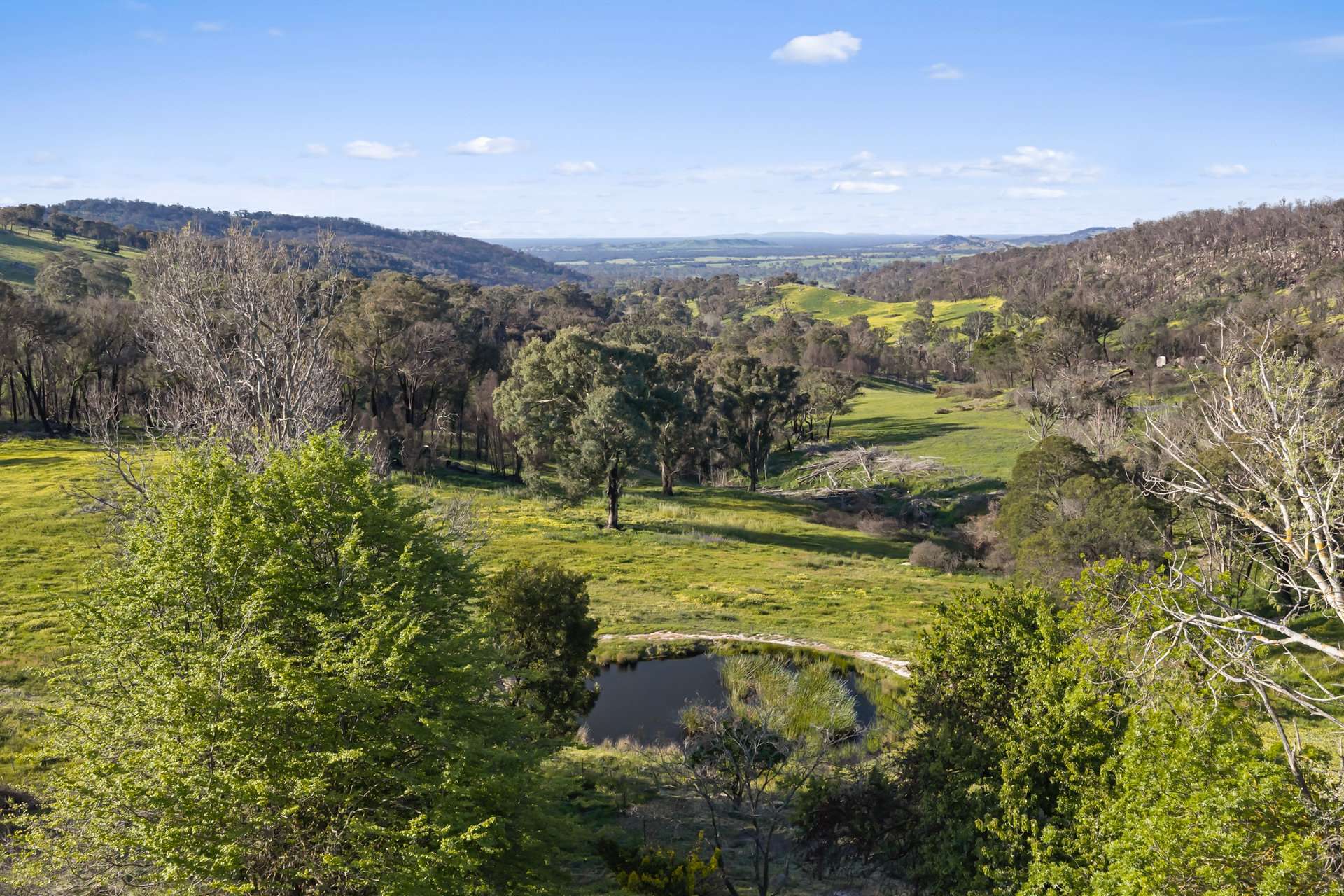 933 Longwood-Ruffy Road, Ruffy For Sale by Farmbuy.com - image 12