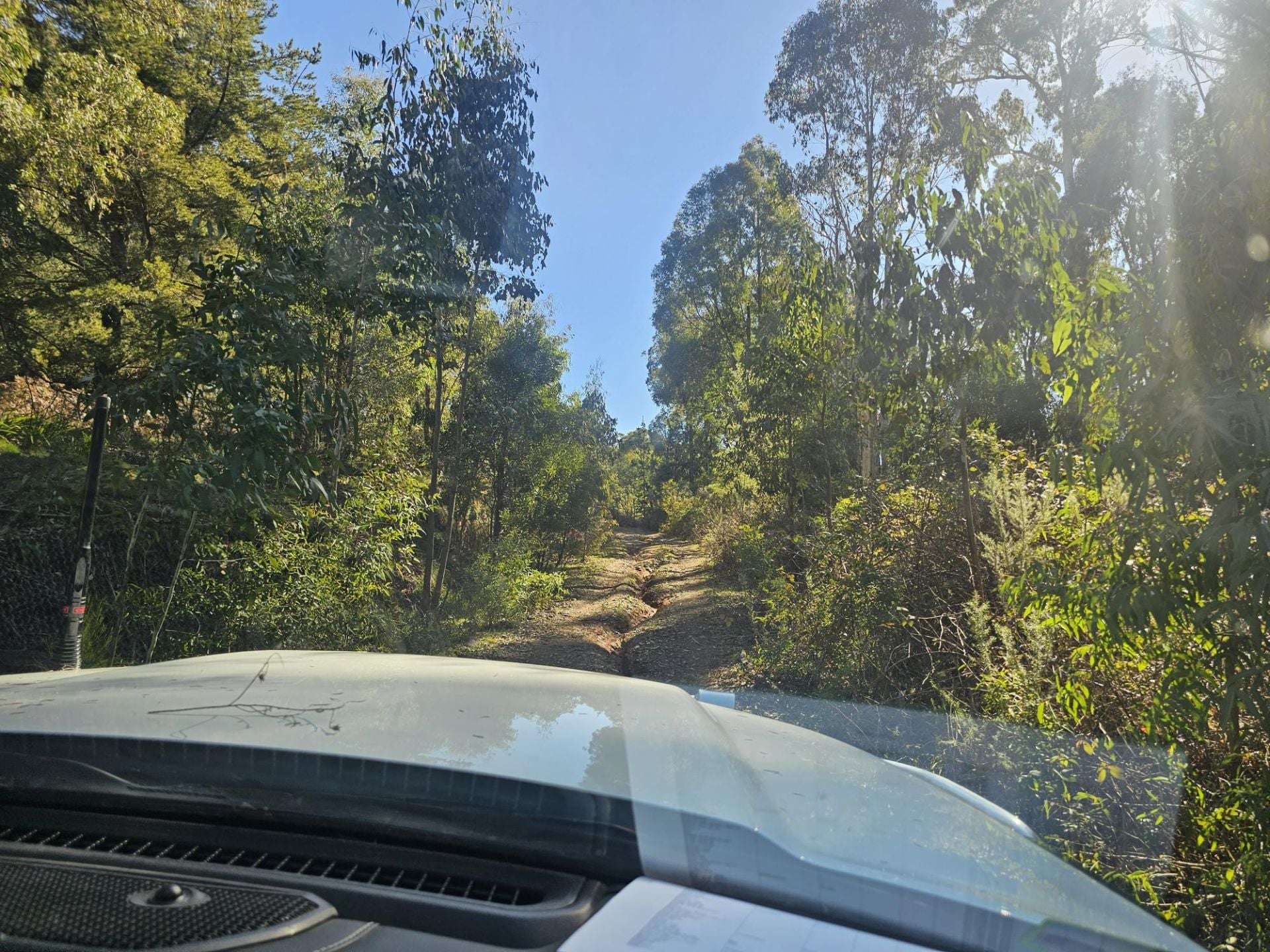 Lot 1/DP 1141792 Cottams Road, Batlow For Sale by Farmbuy.com - image 3