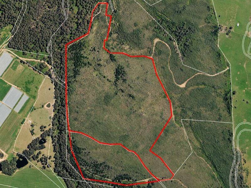 Lot 1/DP 1141792 Cottams Road, Batlow For Sale by Farmbuy.com - image 4