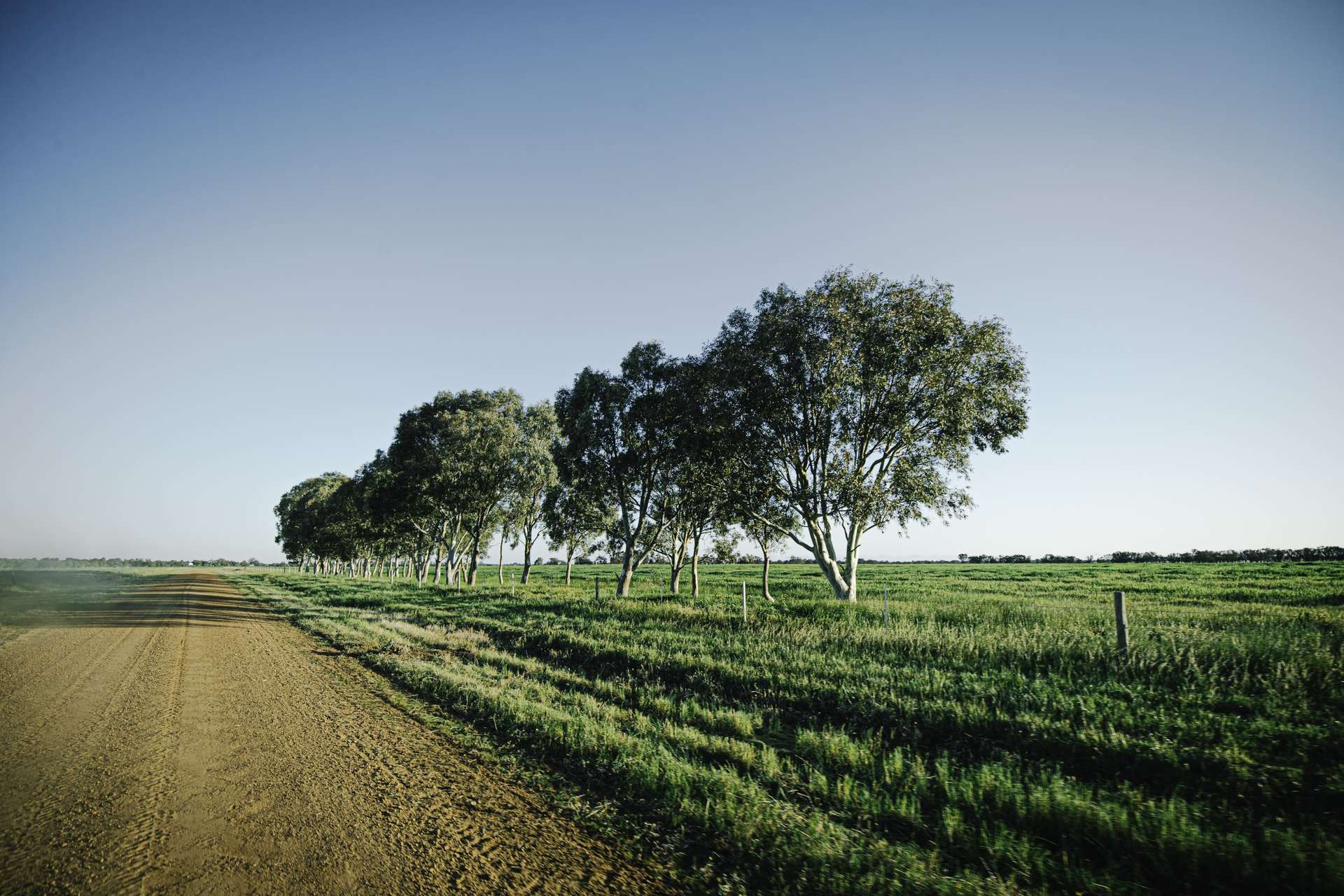 536 Nine Mile Swamp Road, Beermullah For Sale by Farmbuy.com - image 21