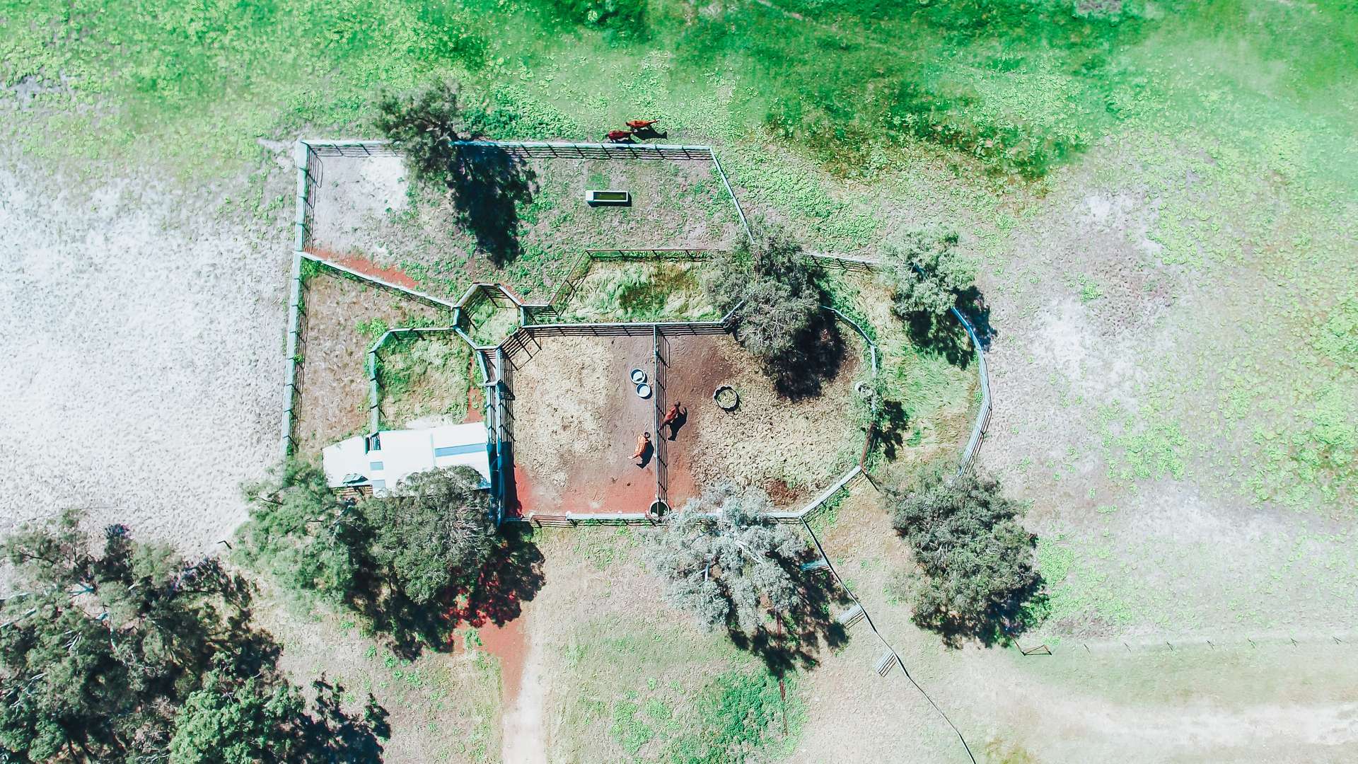 536 Nine Mile Swamp Road, Beermullah For Sale by Farmbuy.com - image 20