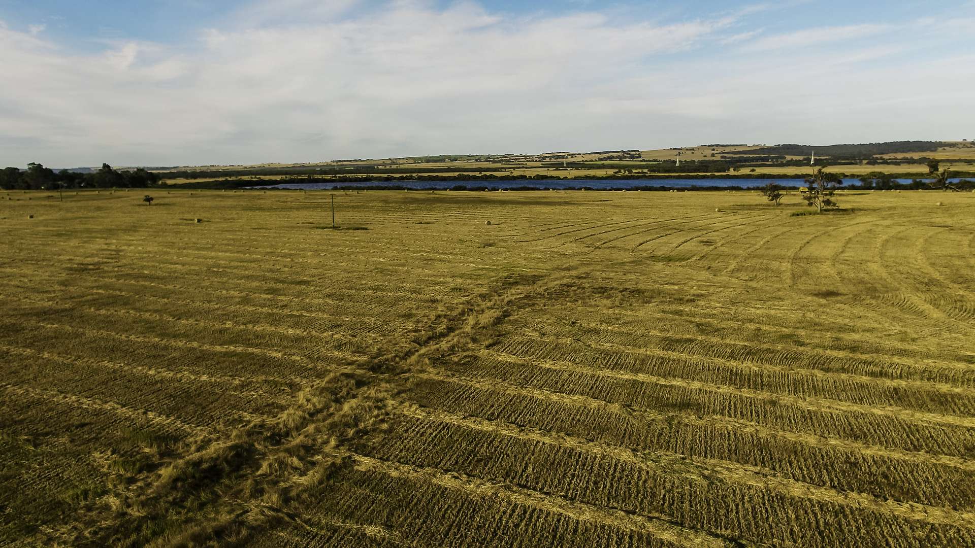 536 Nine Mile Swamp Road, Beermullah For Sale by Farmbuy.com - image 10