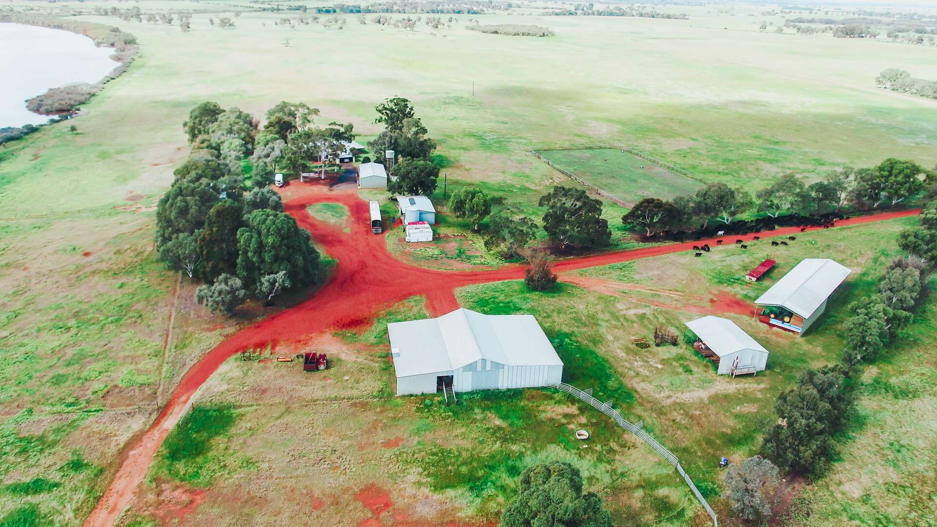 536 Nine Mile Swamp Road, Beermullah For Sale by Farmbuy.com - image 25