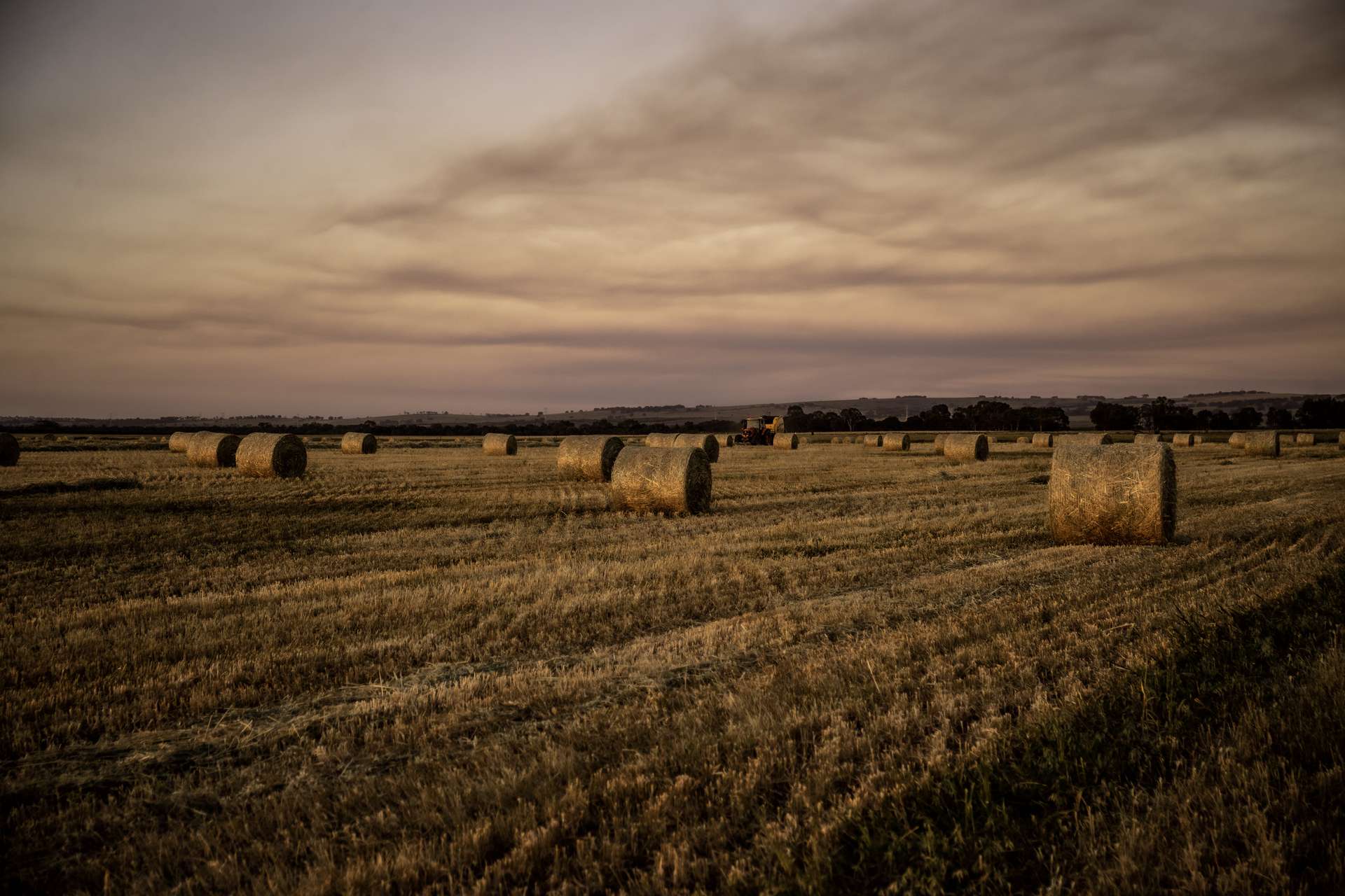 536 Nine Mile Swamp Road, Beermullah For Sale by Farmbuy.com - image 6