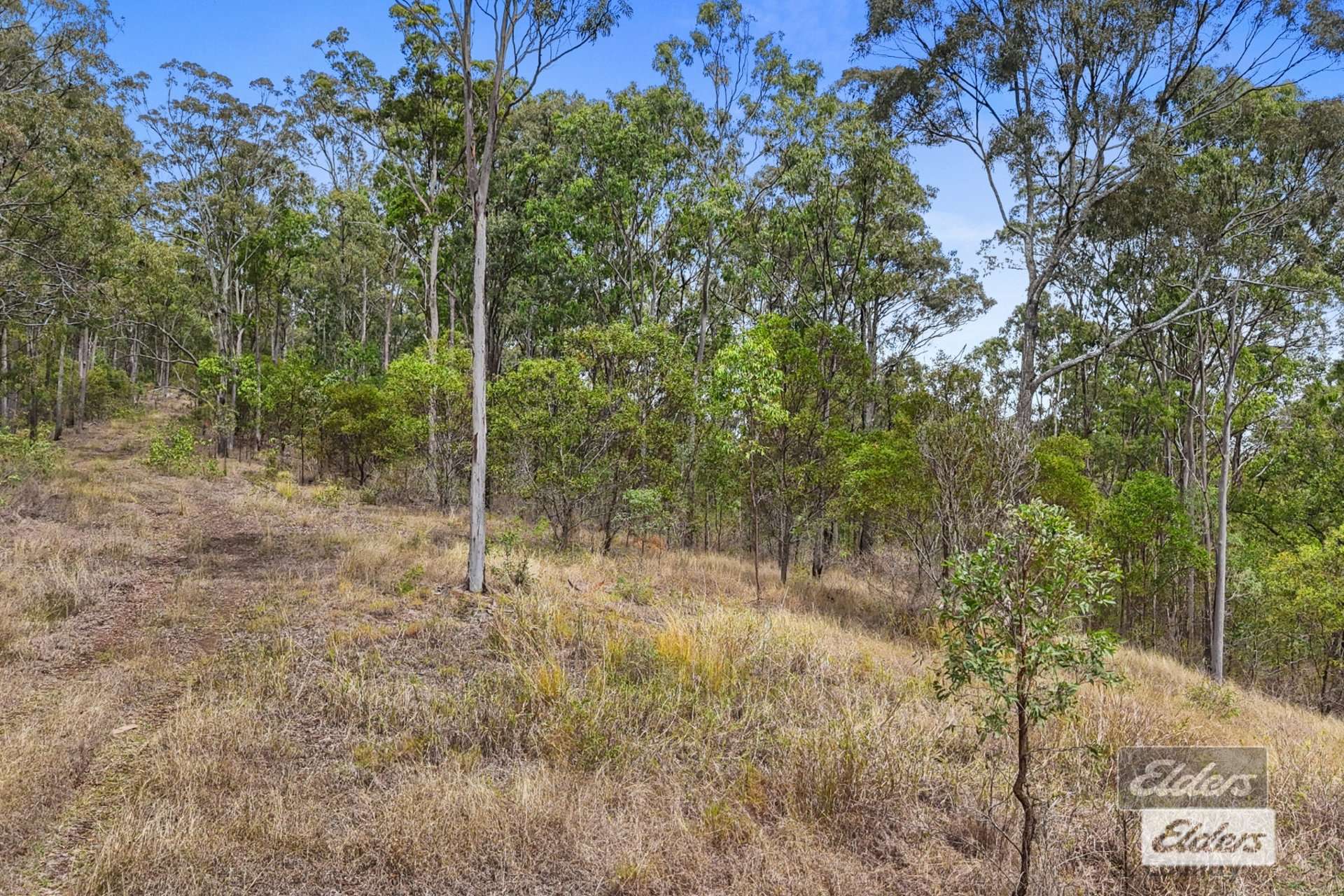 Lot 173 Connors Road, Bauple For Sale by Farmbuy.com - image 17