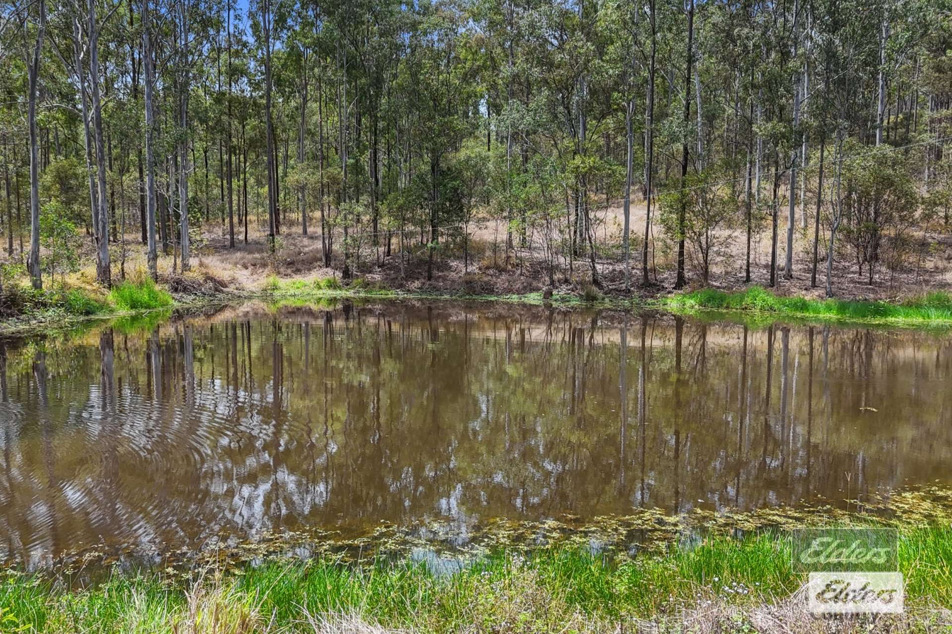 Lot 173 Connors Road, Bauple For Sale by Farmbuy.com - image 16