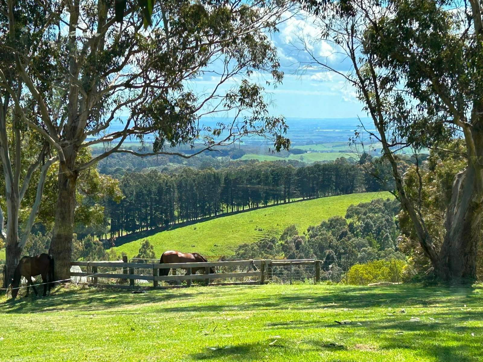 425 Parkers Road, Deans Marsh For Sale by Farmbuy.com - image 24