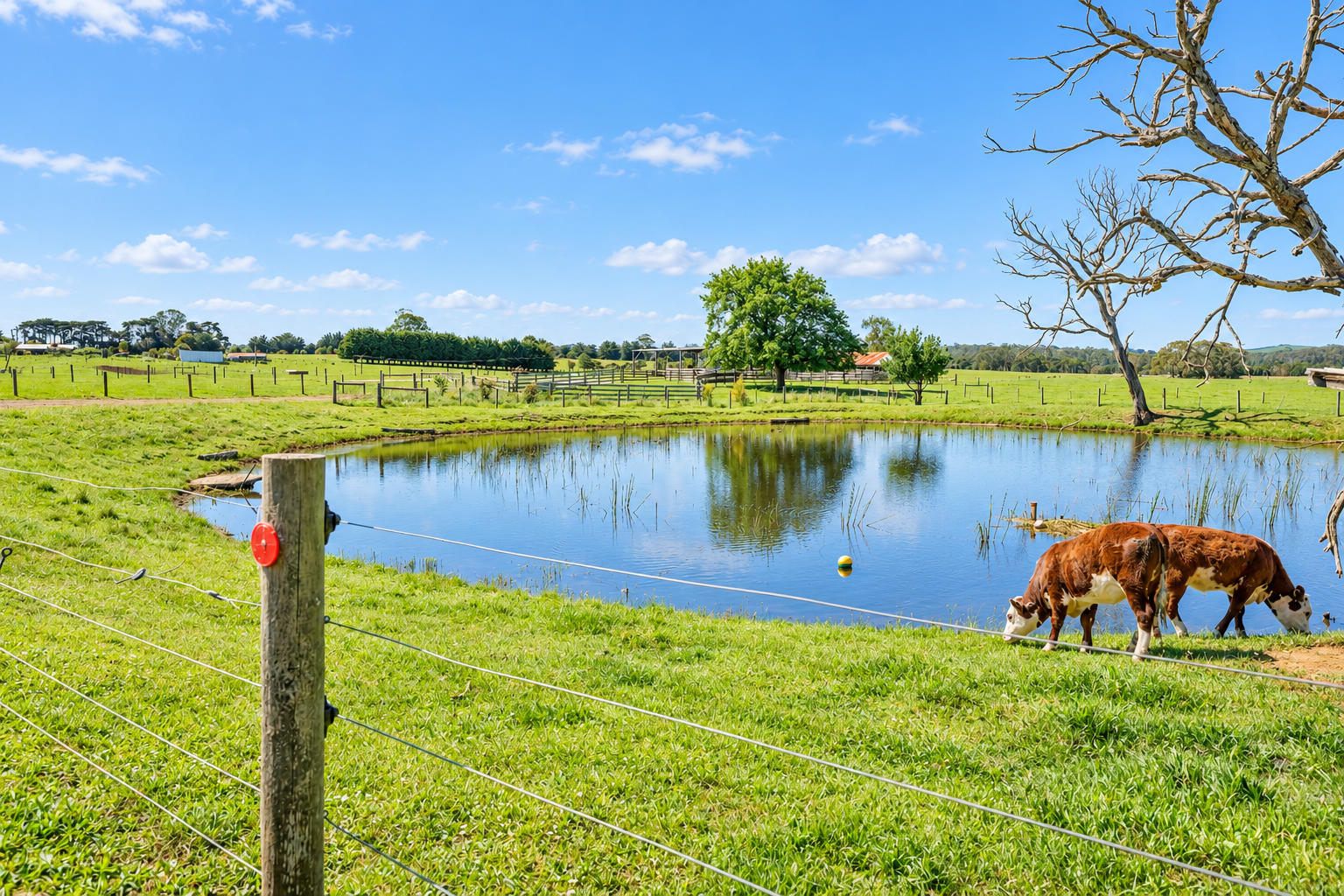 85 Howards Road, Leongatha South For Sale by Farmbuy.com - image 27