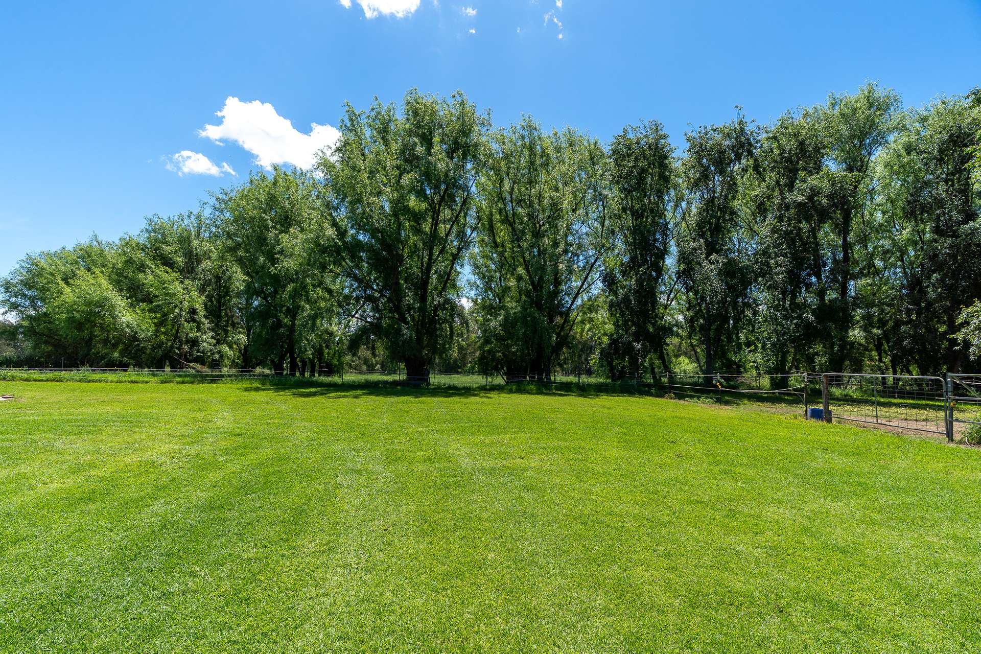 22 Showground Lane, Cowra For Sale by Farmbuy.com - image 5