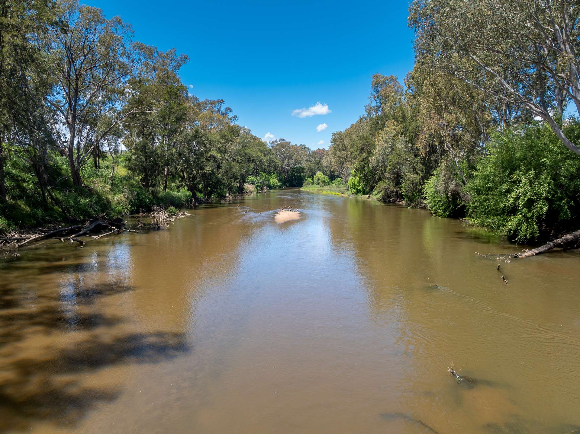 22 Showground Lane, Cowra For Sale by Farmbuy.com - image 7