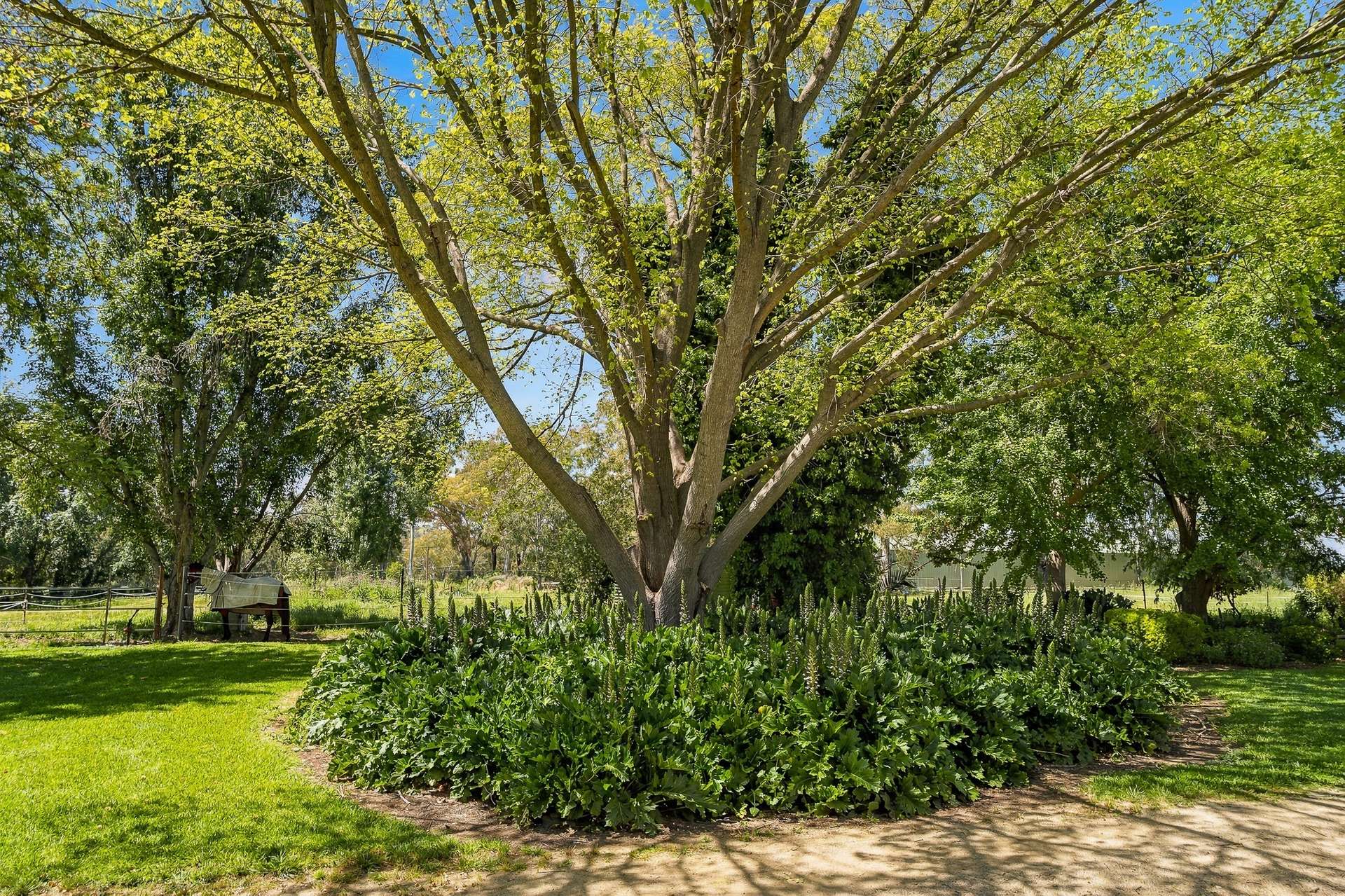 22 Showground Lane, Cowra For Sale by Farmbuy.com - image 10