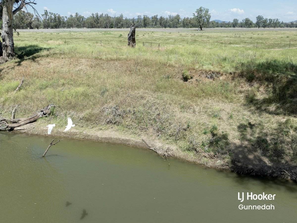 Kyuna/10788 Kamilaroi Highway, Gunnedah For Sale by Farmbuy.com - image 23