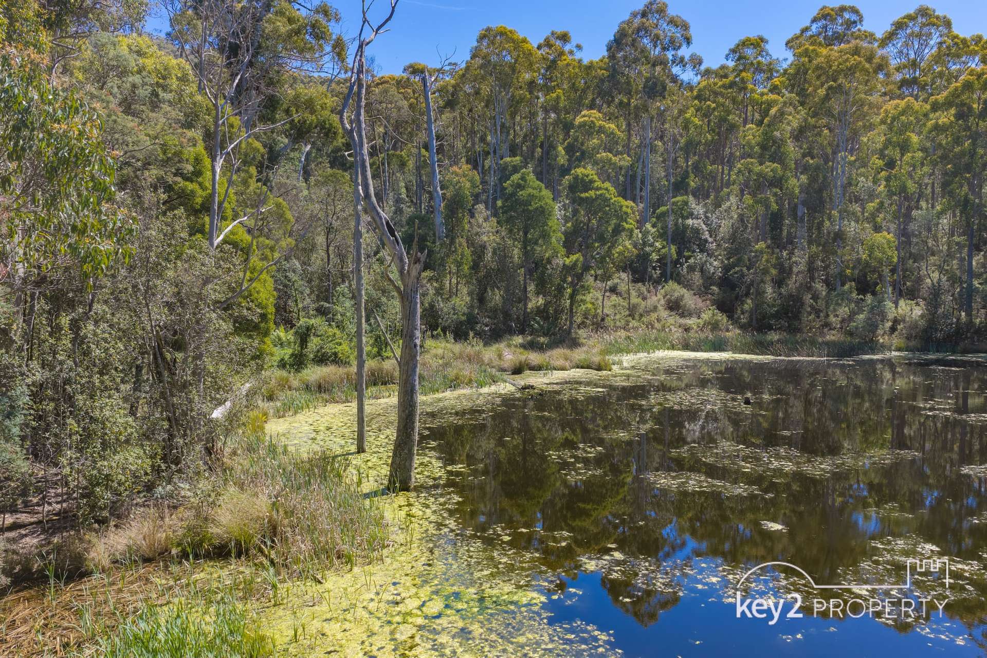 251 Myrtle Creek Road, Liffey For Sale by Farmbuy.com - image 23