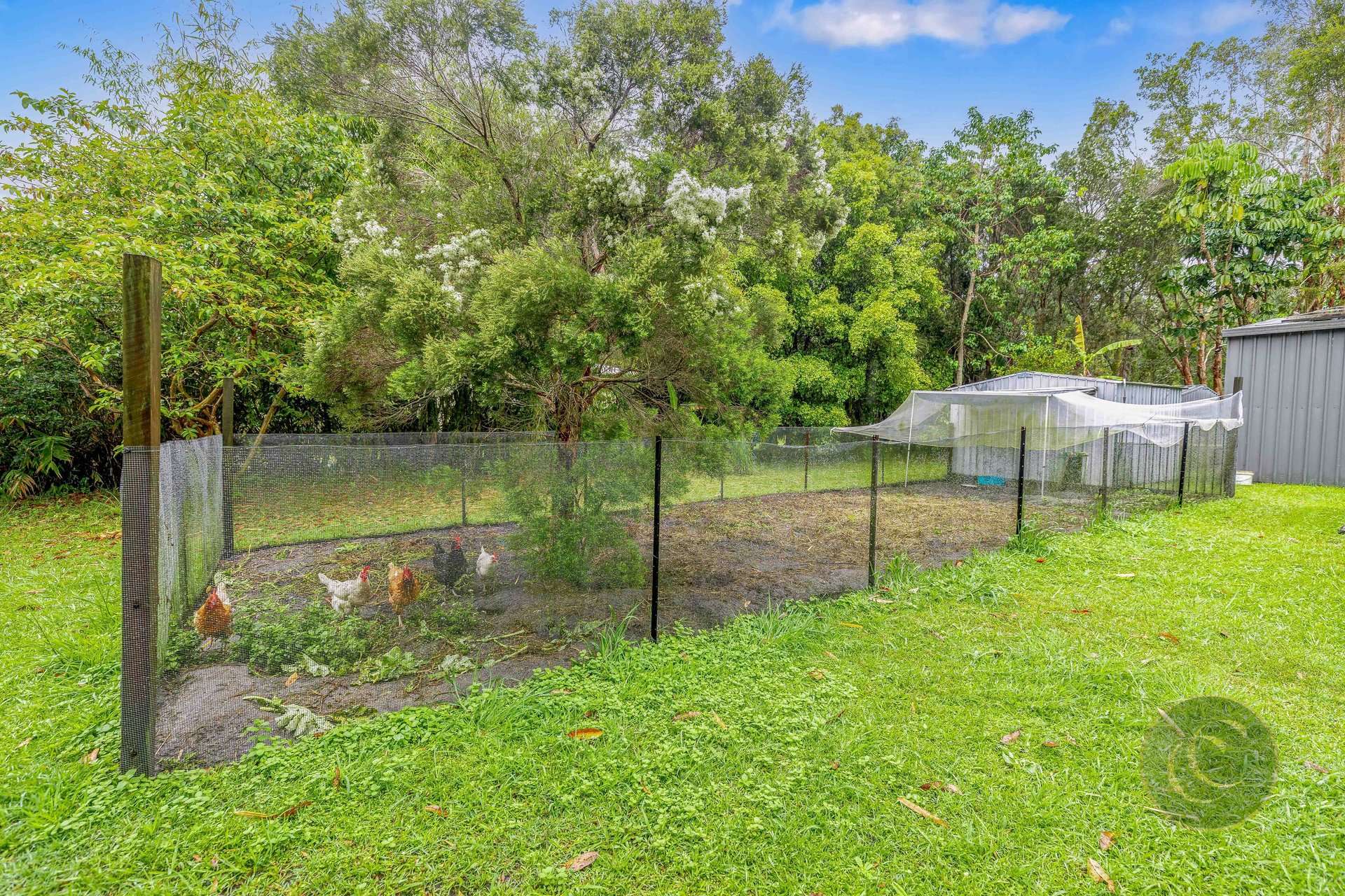 20 Osborne Court, Wallu For Sale by Farmbuy.com - image 26