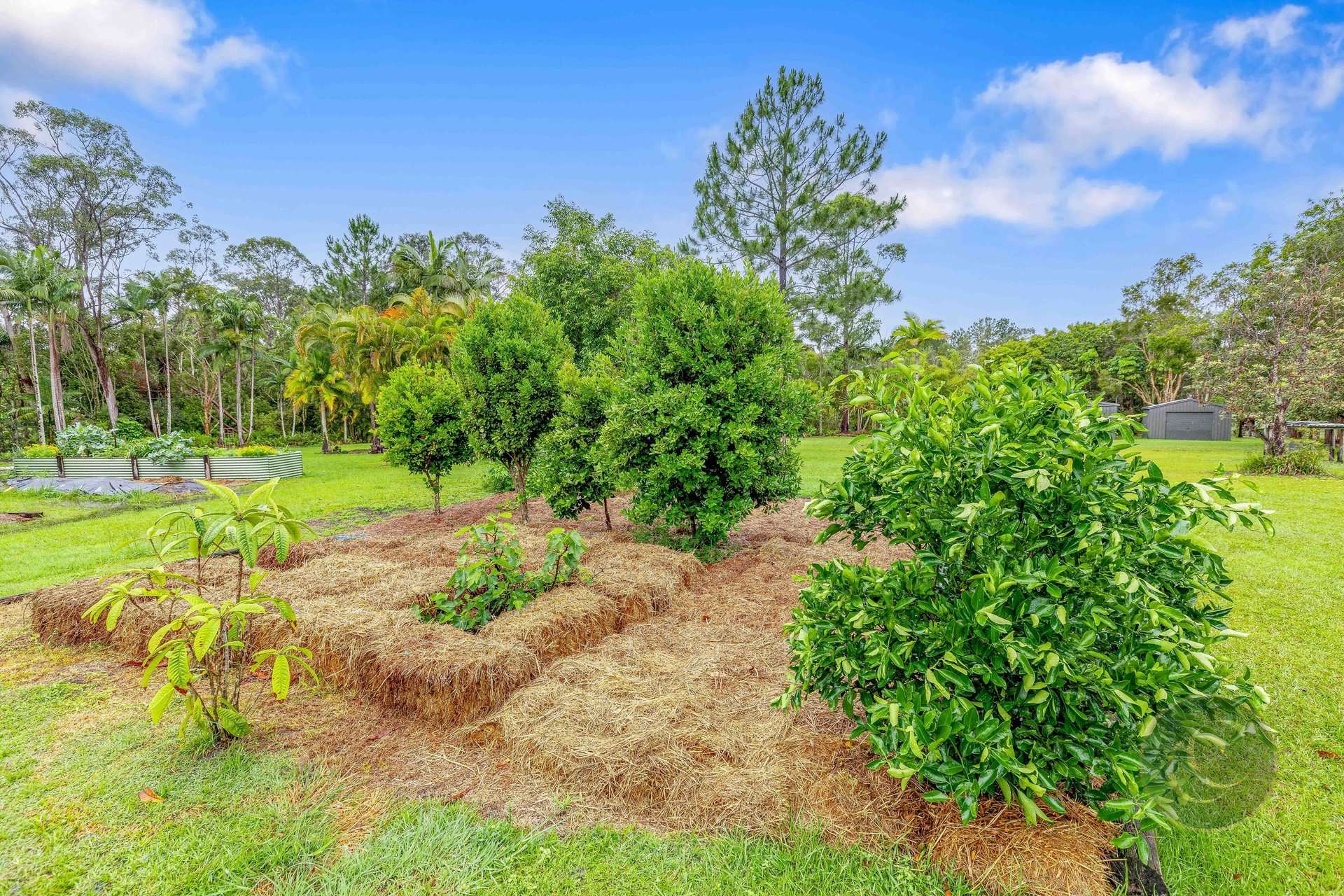 20 Osborne Court, Wallu For Sale by Farmbuy.com - image 23