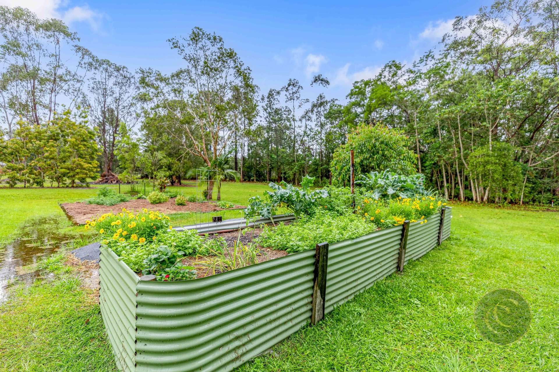 20 Osborne Court, Wallu For Sale by Farmbuy.com - image 24
