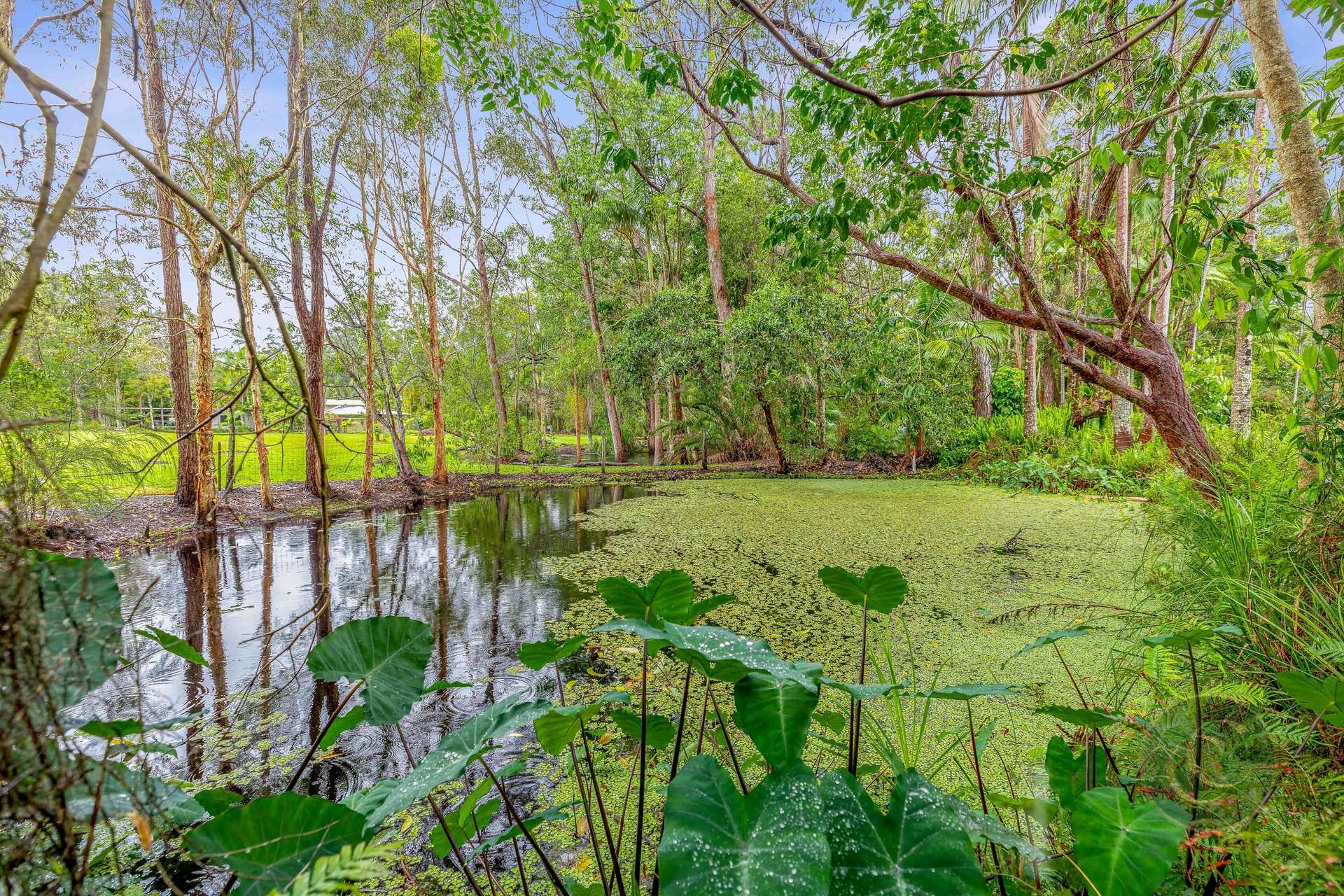 20 Osborne Court, Wallu For Sale by Farmbuy.com - image 29
