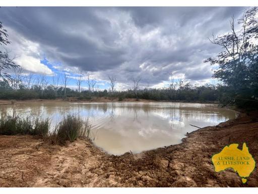 Farm For Sale - QLD - Mundubbera - 4626 - Substantial grazing lease with the potential to grow out heifers. 