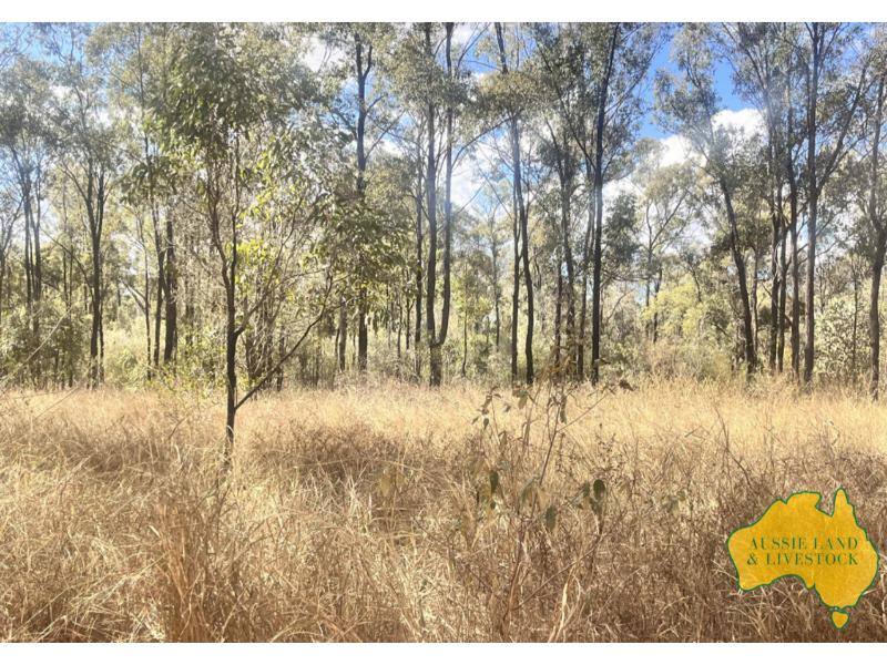 Mundubbera For Sale by Farmbuy.com - image 4