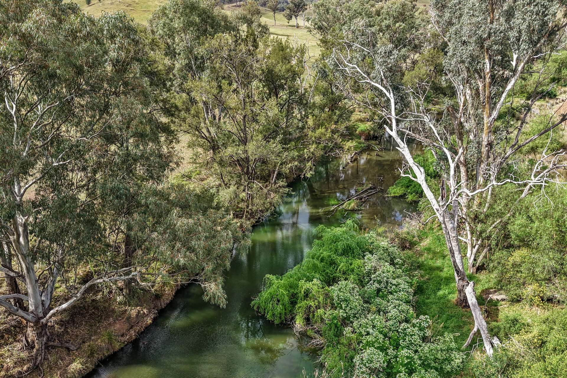 Tara, 1425 Halls Creek Road, Manilla For Sale by Farmbuy.com - image 22