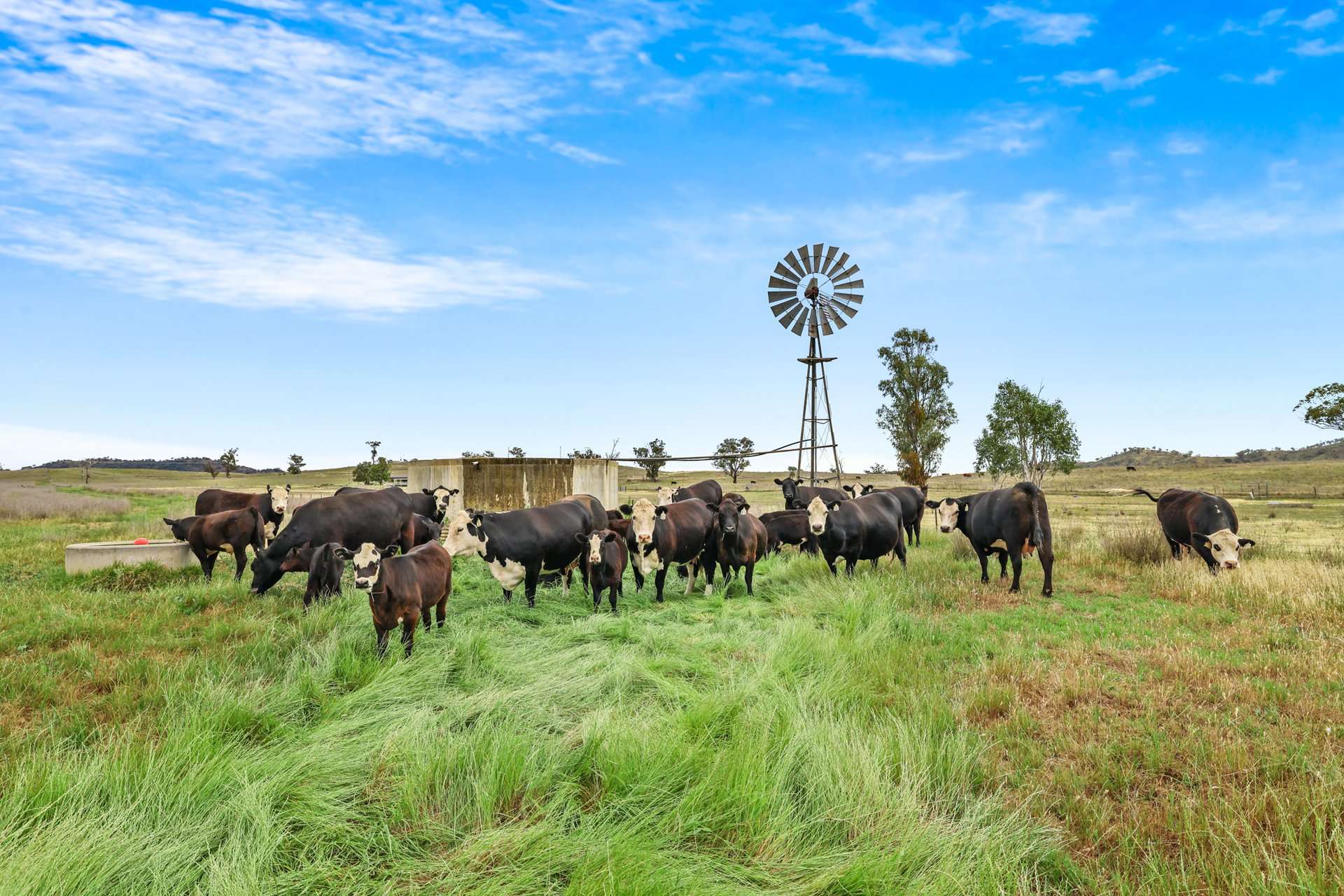 Tara, 1425 Halls Creek Road, Manilla For Sale by Farmbuy.com - image 21