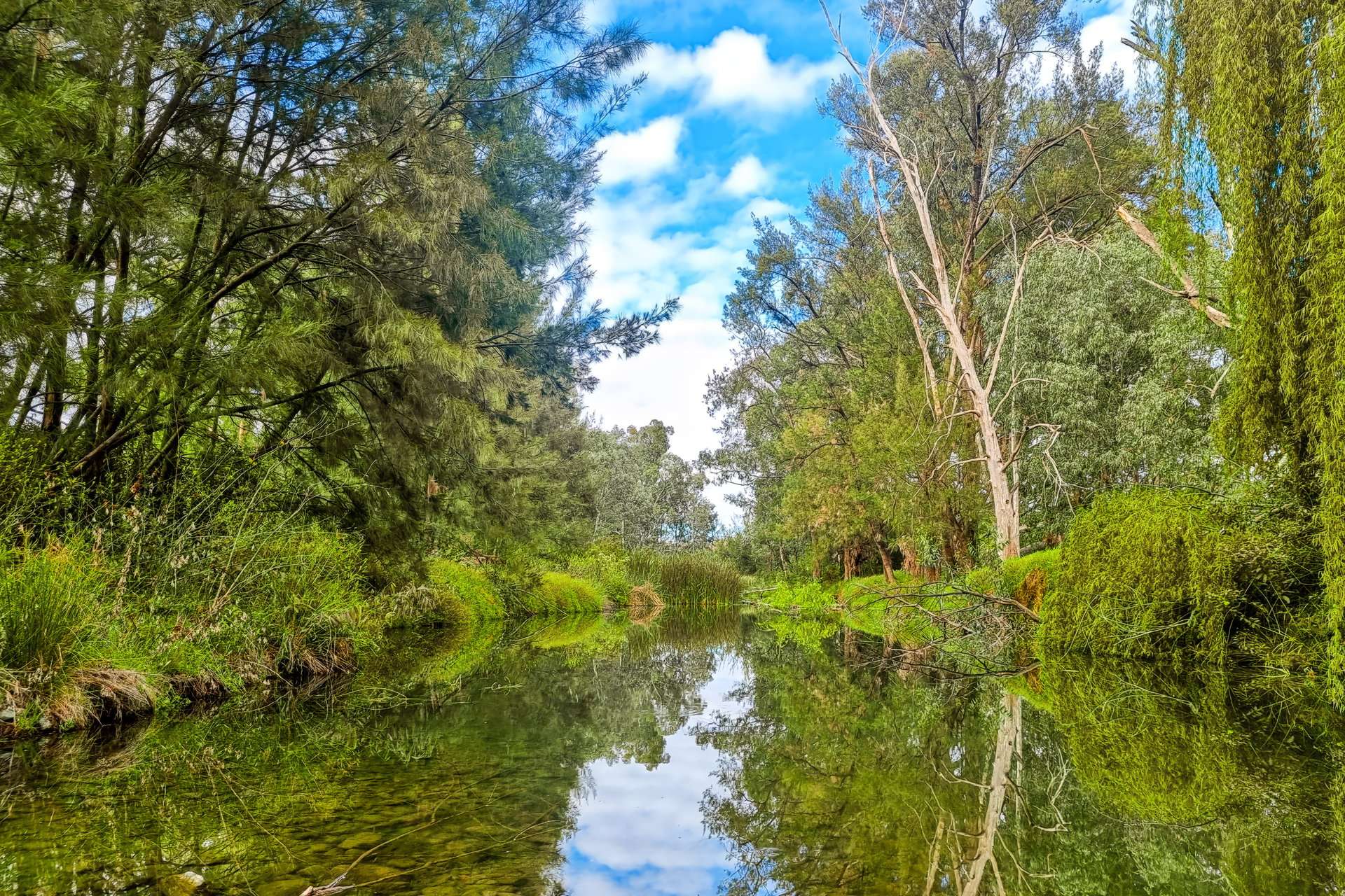 Tara, 1425 Halls Creek Road, Manilla For Sale by Farmbuy.com - image 23