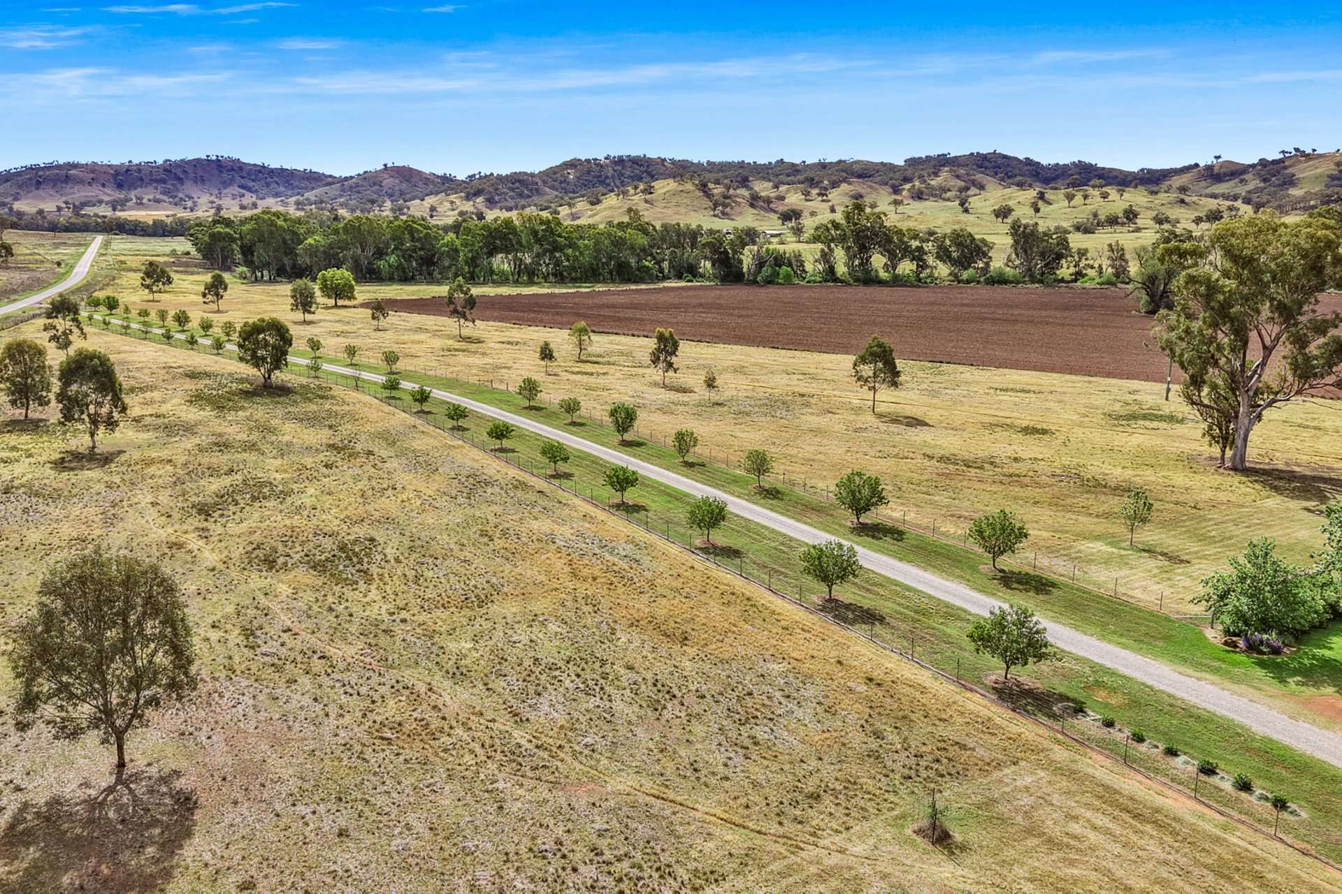 Tara, 1425 Halls Creek Road, Manilla For Sale by Farmbuy.com - image 18