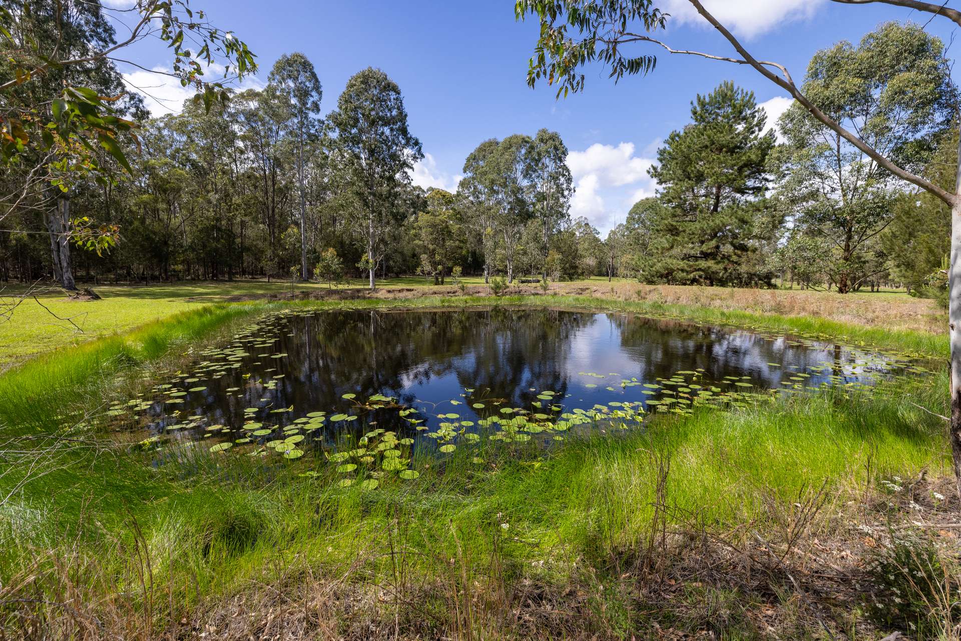 703 Yarratt Road, Upper Lansdowne For Sale by Farmbuy.com - image 25