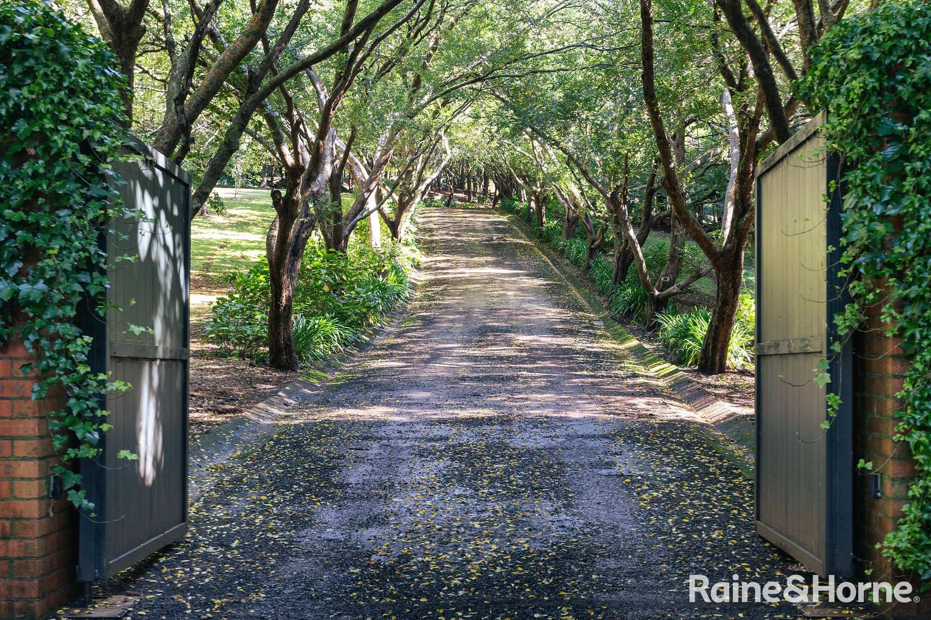 101 Pearsons Lane, Robertson For Sale by Farmbuy.com - image 10