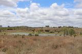 "Penlyn Hills" 811 Lowries Road, Kokotungo Auction by Ray White Rural Gracemere