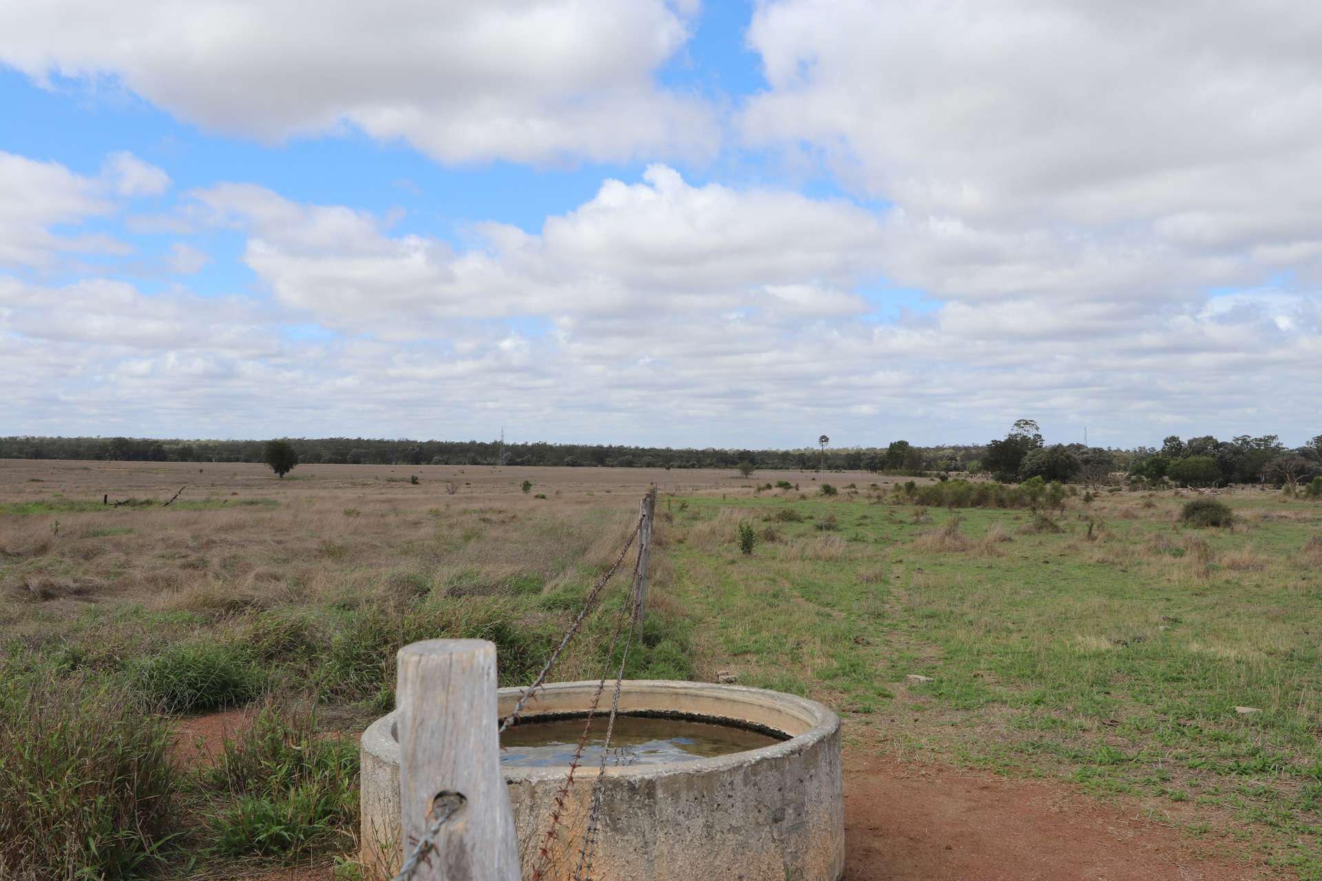 "Penlyn Hills" 811 Lowries Road, Kokotungo Auction by Farmbuy.com - image 11