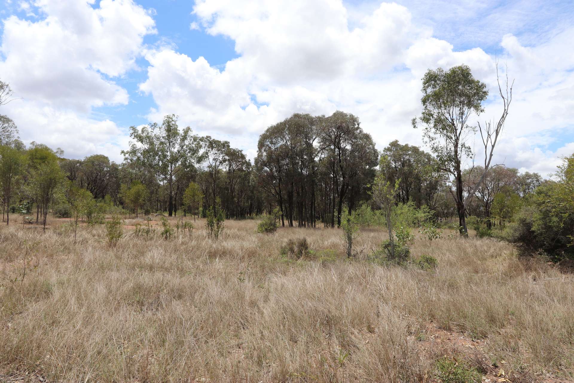 "Penlyn Hills" 811 Lowries Road, Kokotungo Auction by Farmbuy.com - image 18