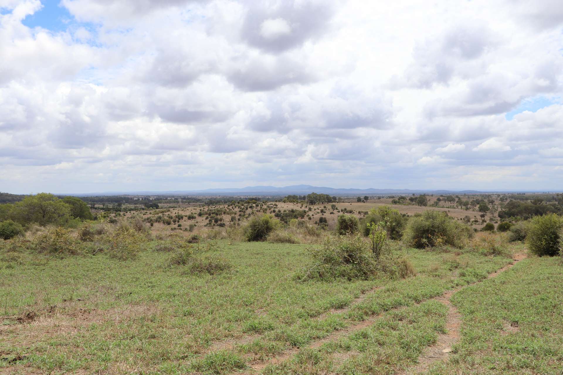 "Penlyn Hills" 811 Lowries Road, Kokotungo Auction by Farmbuy.com - image 15