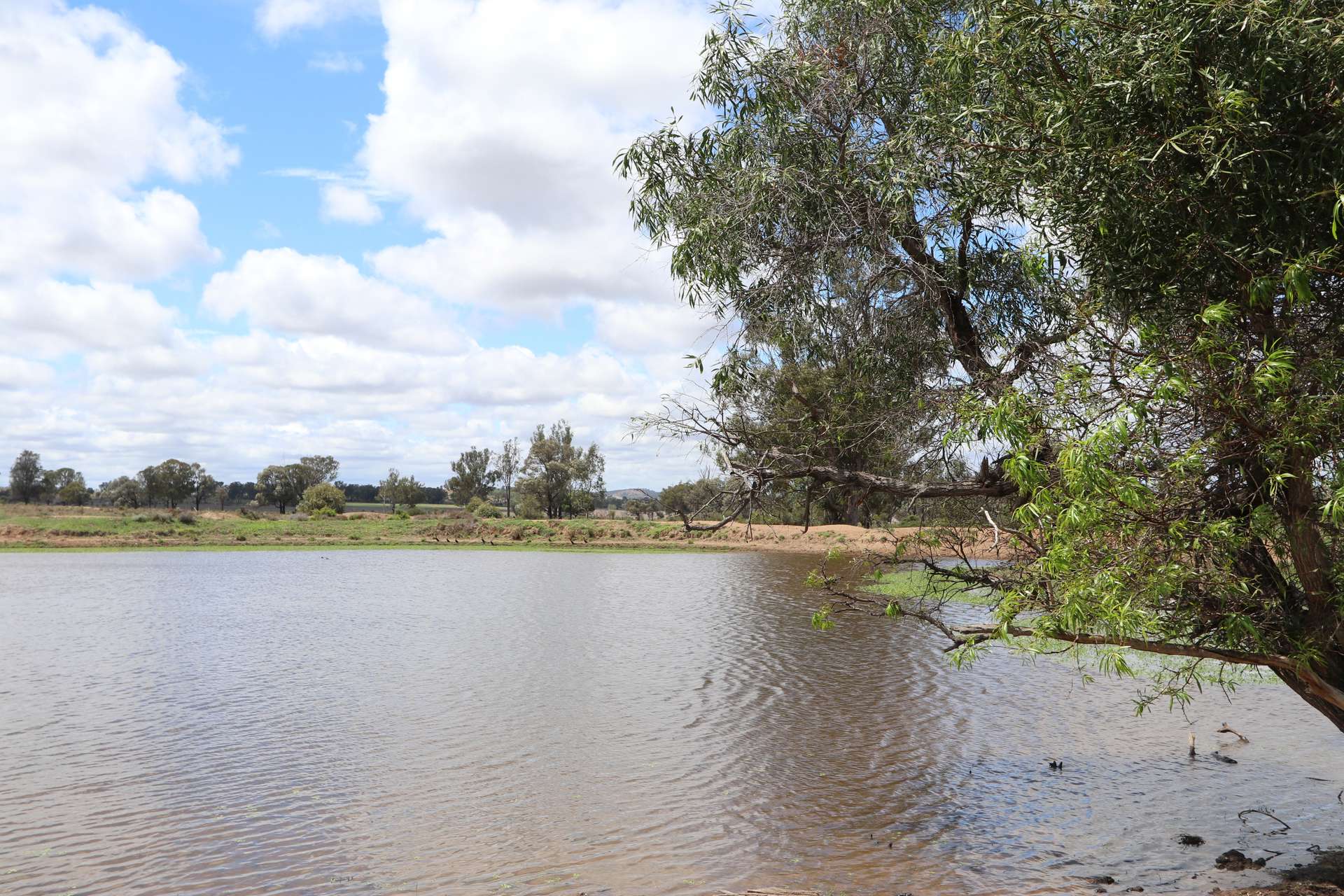 "Penlyn Hills" 811 Lowries Road, Kokotungo Auction by Farmbuy.com - image 13