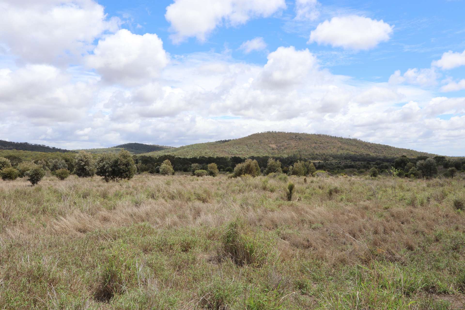 "Penlyn Hills" 811 Lowries Road, Kokotungo Auction by Farmbuy.com - image 12