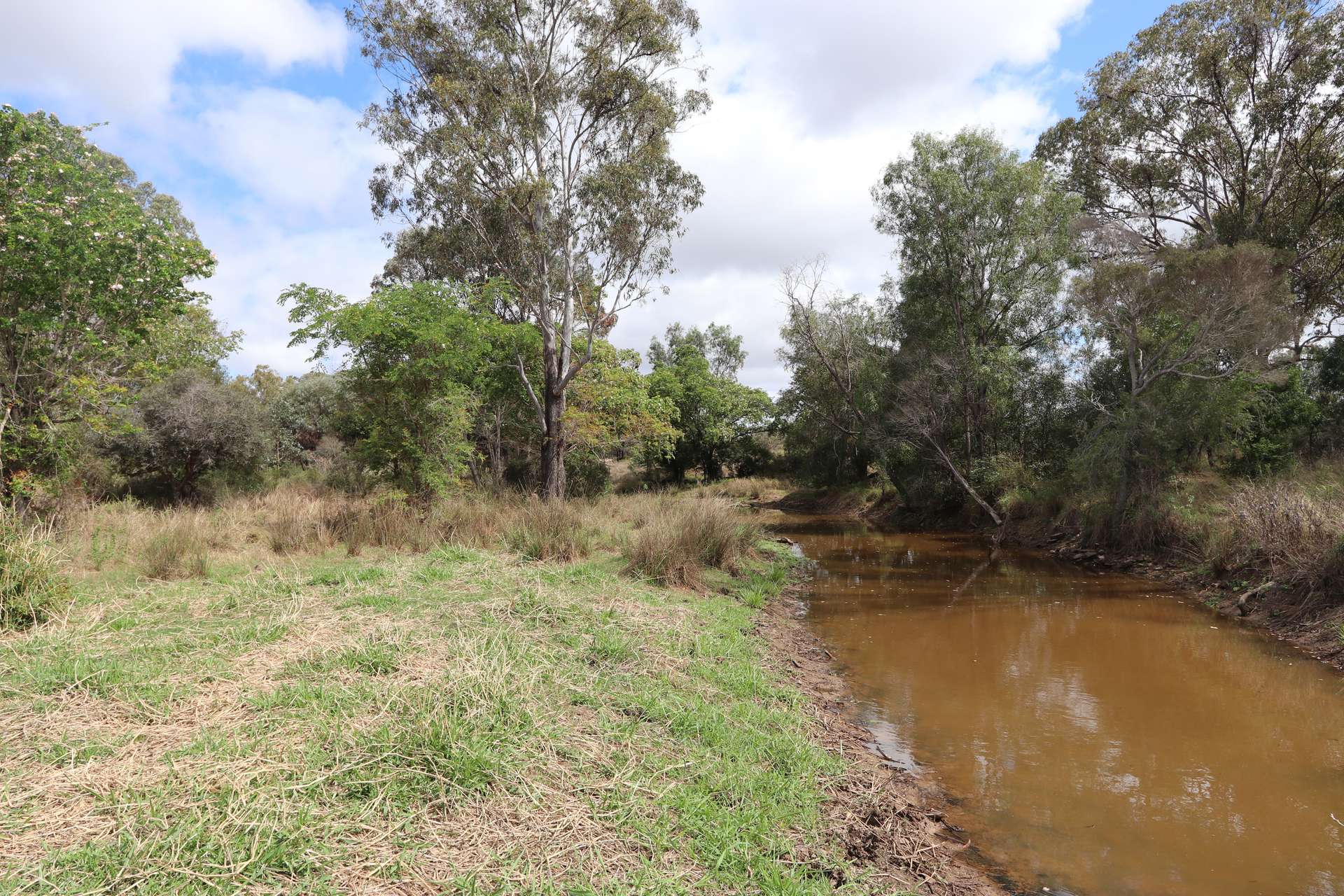 "Penlyn Hills" 811 Lowries Road, Kokotungo Auction by Farmbuy.com - image 9