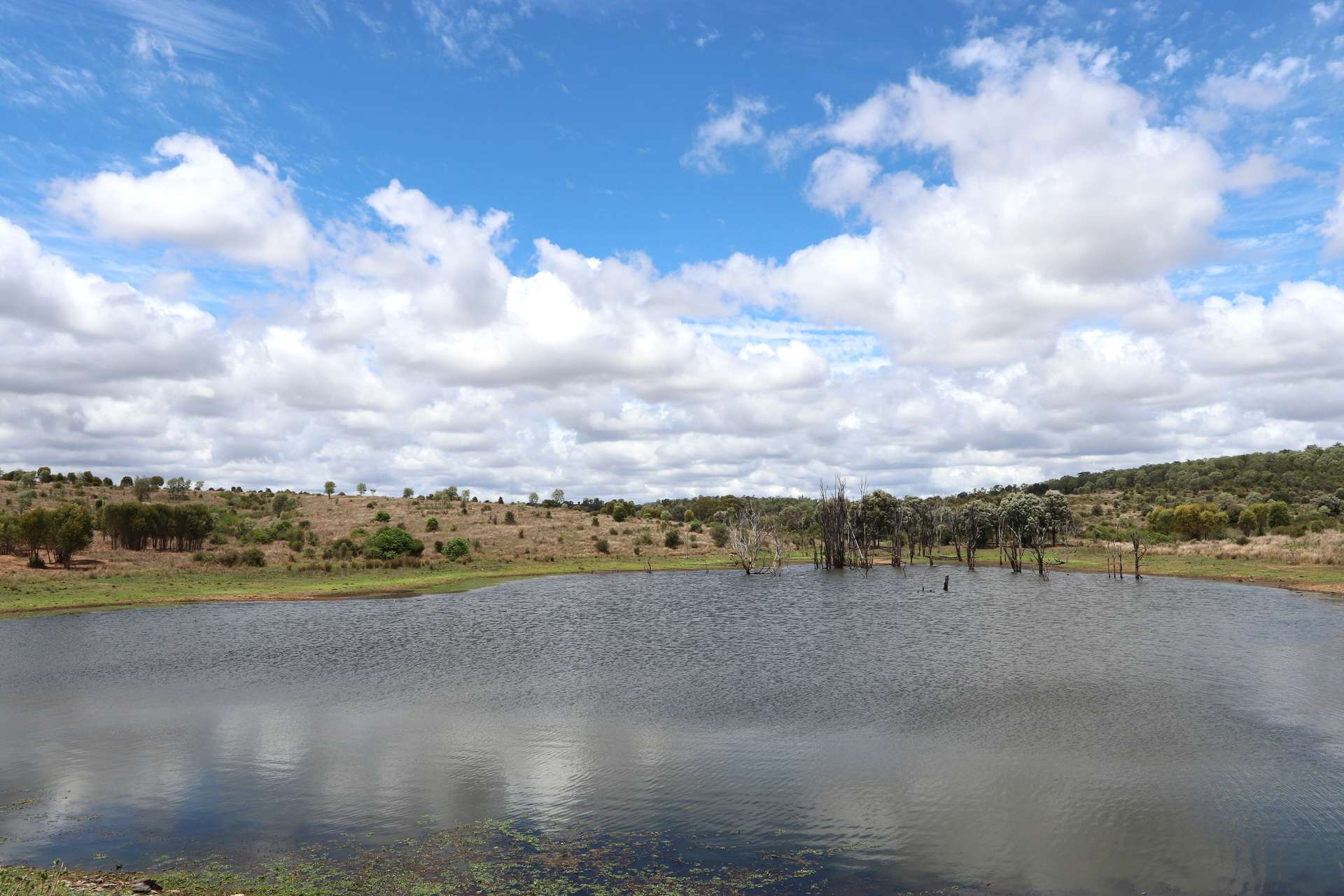 "Penlyn Hills" 811 Lowries Road, Kokotungo Auction by Farmbuy.com - image 3