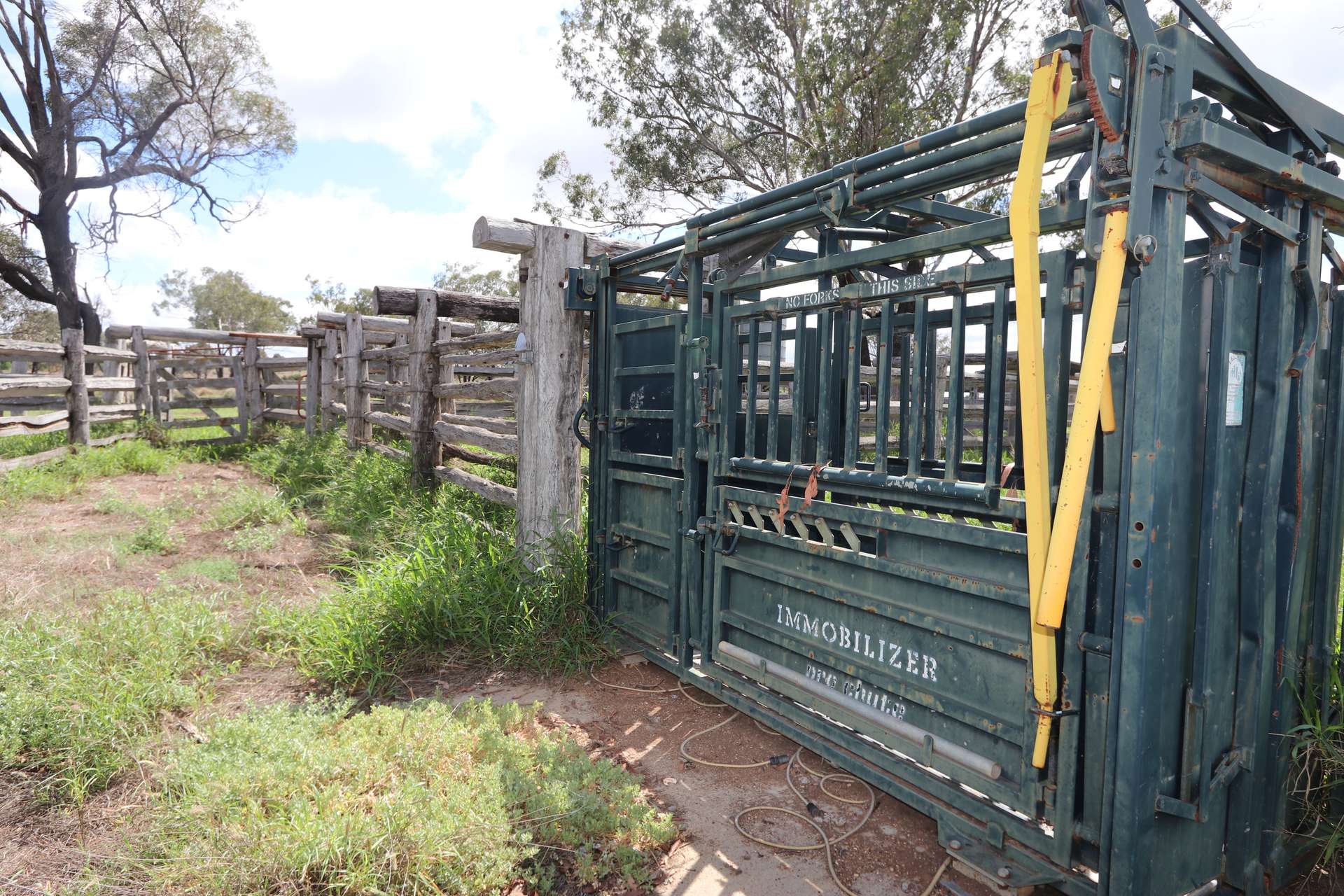"Penlyn Hills" 811 Lowries Road, Kokotungo Auction by Farmbuy.com - image 5
