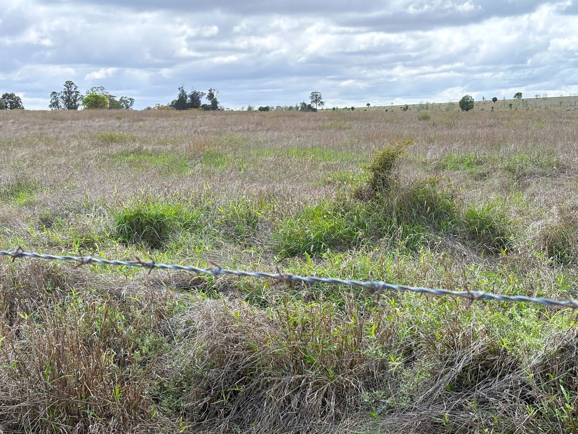 "Penlyn Hills" 811 Lowries Road, Kokotungo Auction by Farmbuy.com - image 8