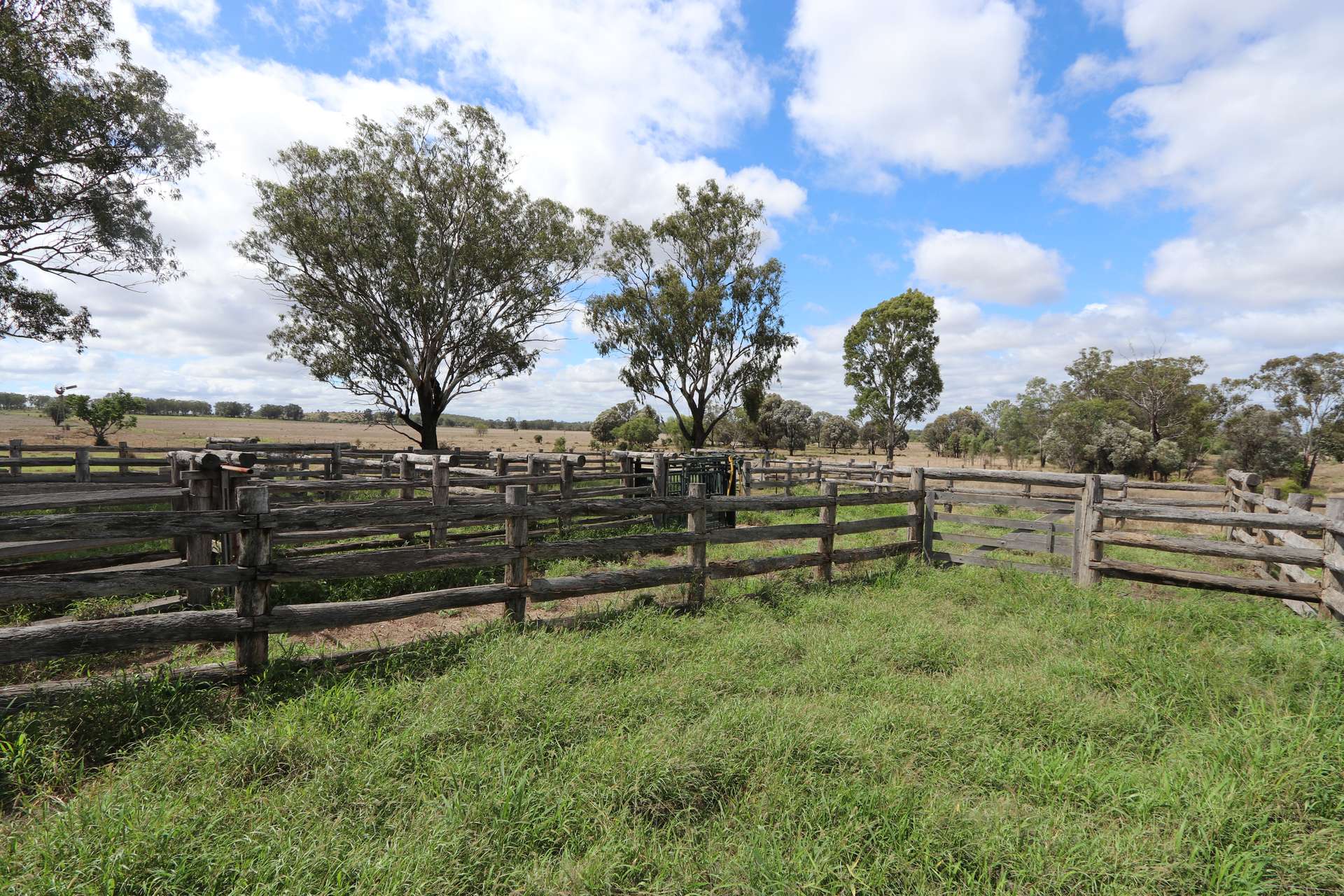 "Penlyn Hills" 811 Lowries Road, Kokotungo Auction by Farmbuy.com - image 4