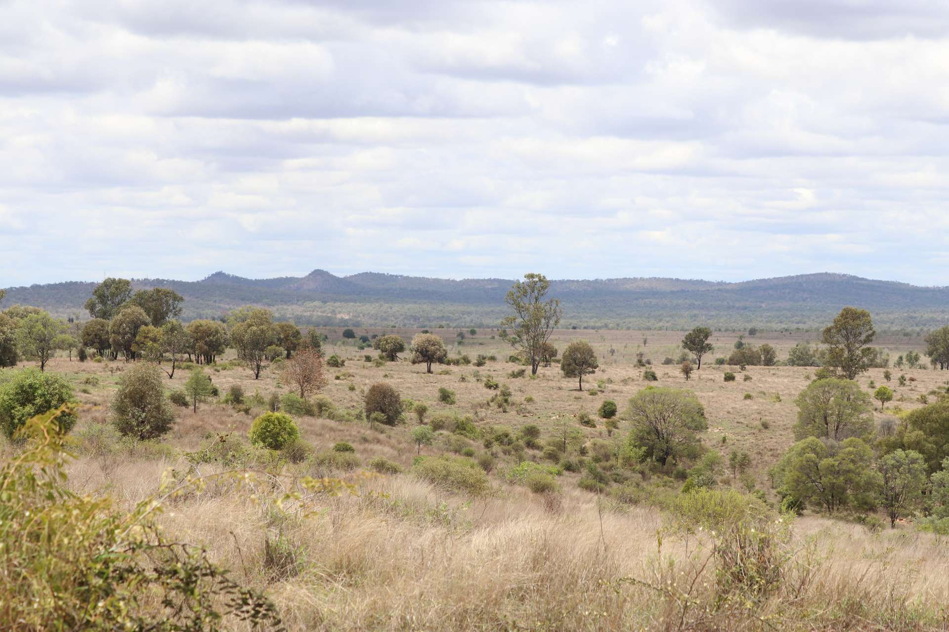 "Penlyn Hills" 811 Lowries Road, Kokotungo Auction by Farmbuy.com - image 2