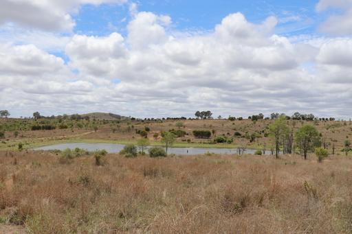 "Penlyn Hills" 811 Lowries Road, Kokotungo QLD 4702