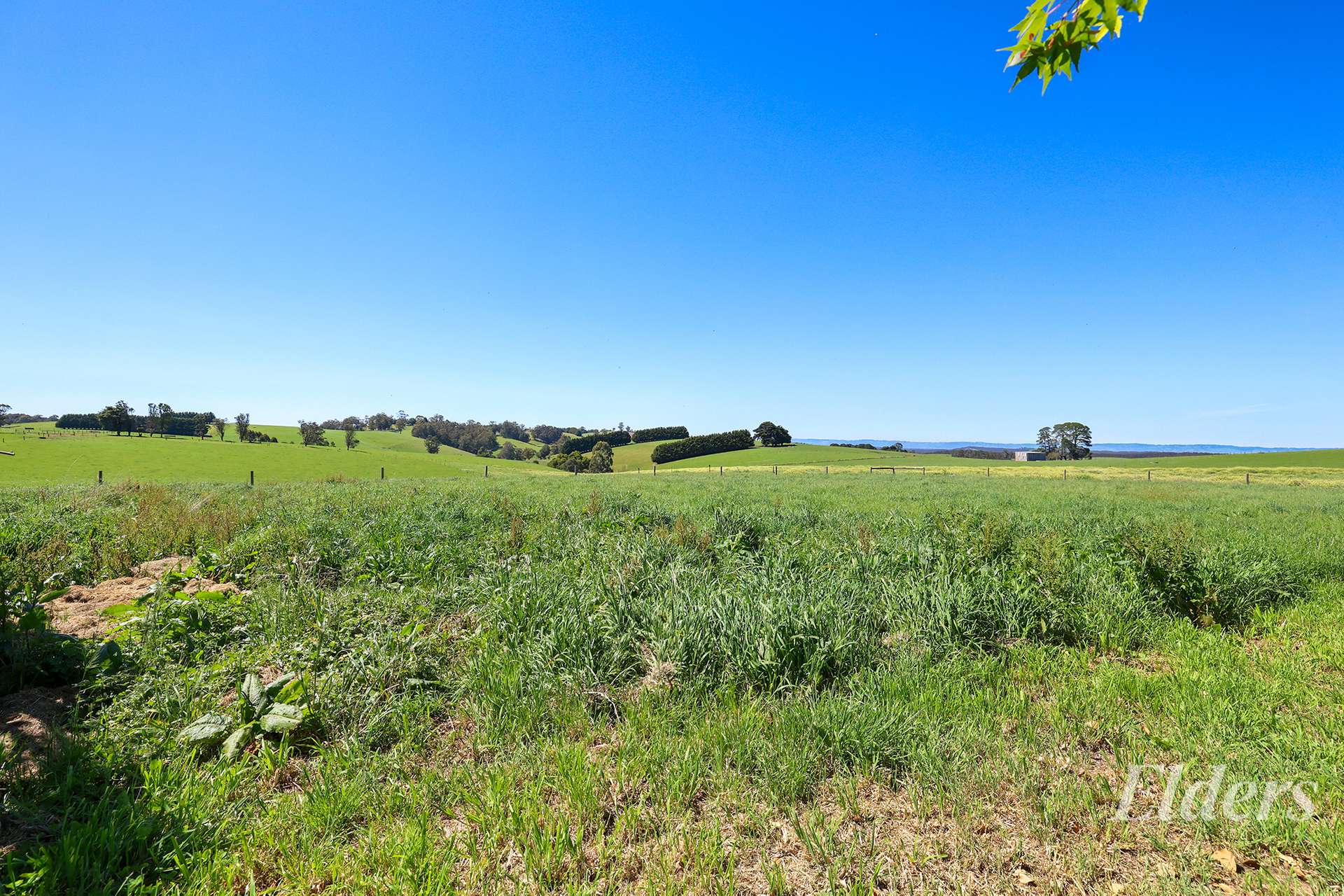 990 Neerim East Road, Neerim East For Sale by Farmbuy.com - image 15