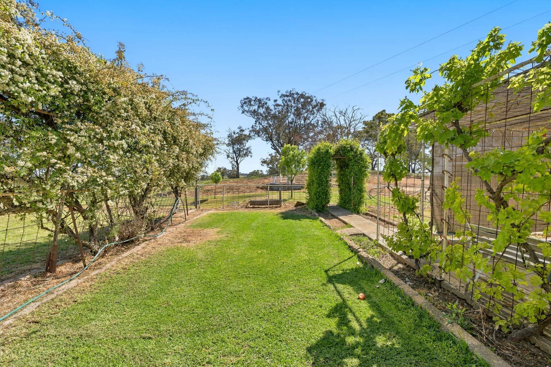 'Weemala' 5736 Burrendong Way, Stuart Town Auction by Farmbuy.com - image 17