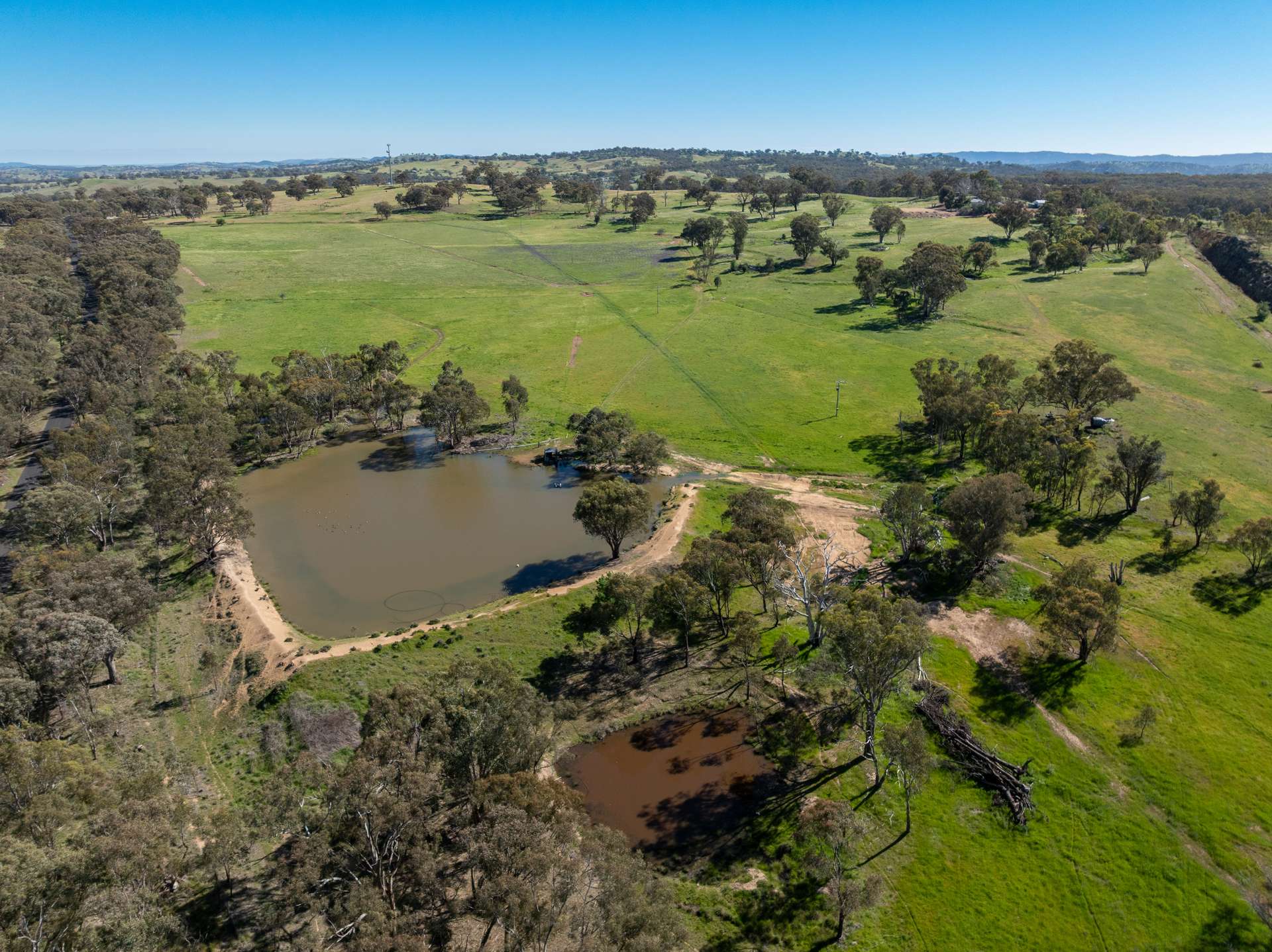 'Weemala' 5736 Burrendong Way, Stuart Town Auction by Farmbuy.com - image 6