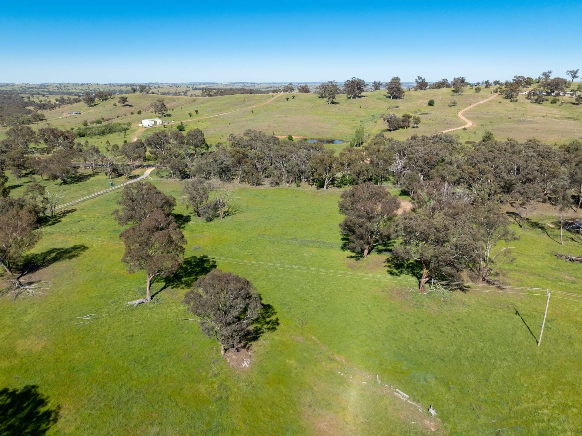 'Weemala' 5736 Burrendong Way, Stuart Town Auction by Farmbuy.com - image 4