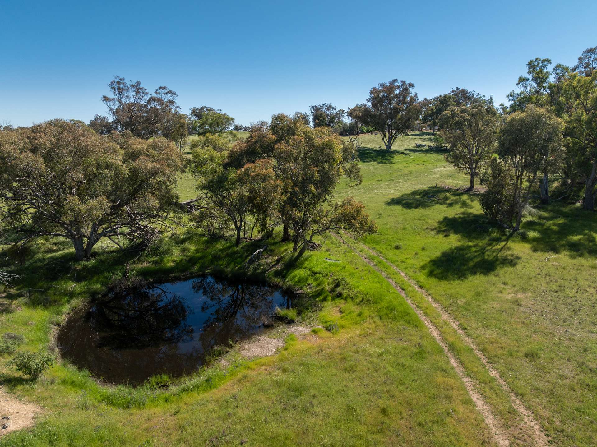 'Weemala' 5736 Burrendong Way, Stuart Town Auction by Farmbuy.com - image 2