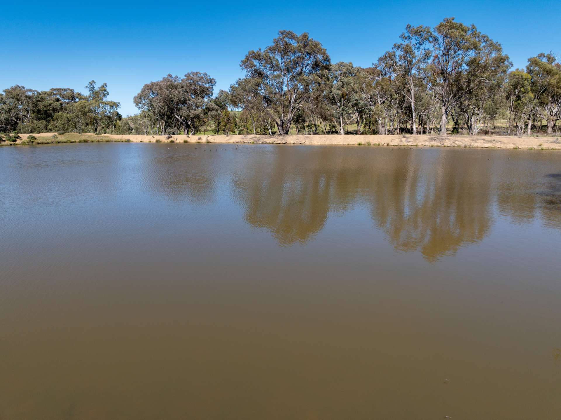 'Weemala' 5736 Burrendong Way, Stuart Town Auction by Farmbuy.com - image 5