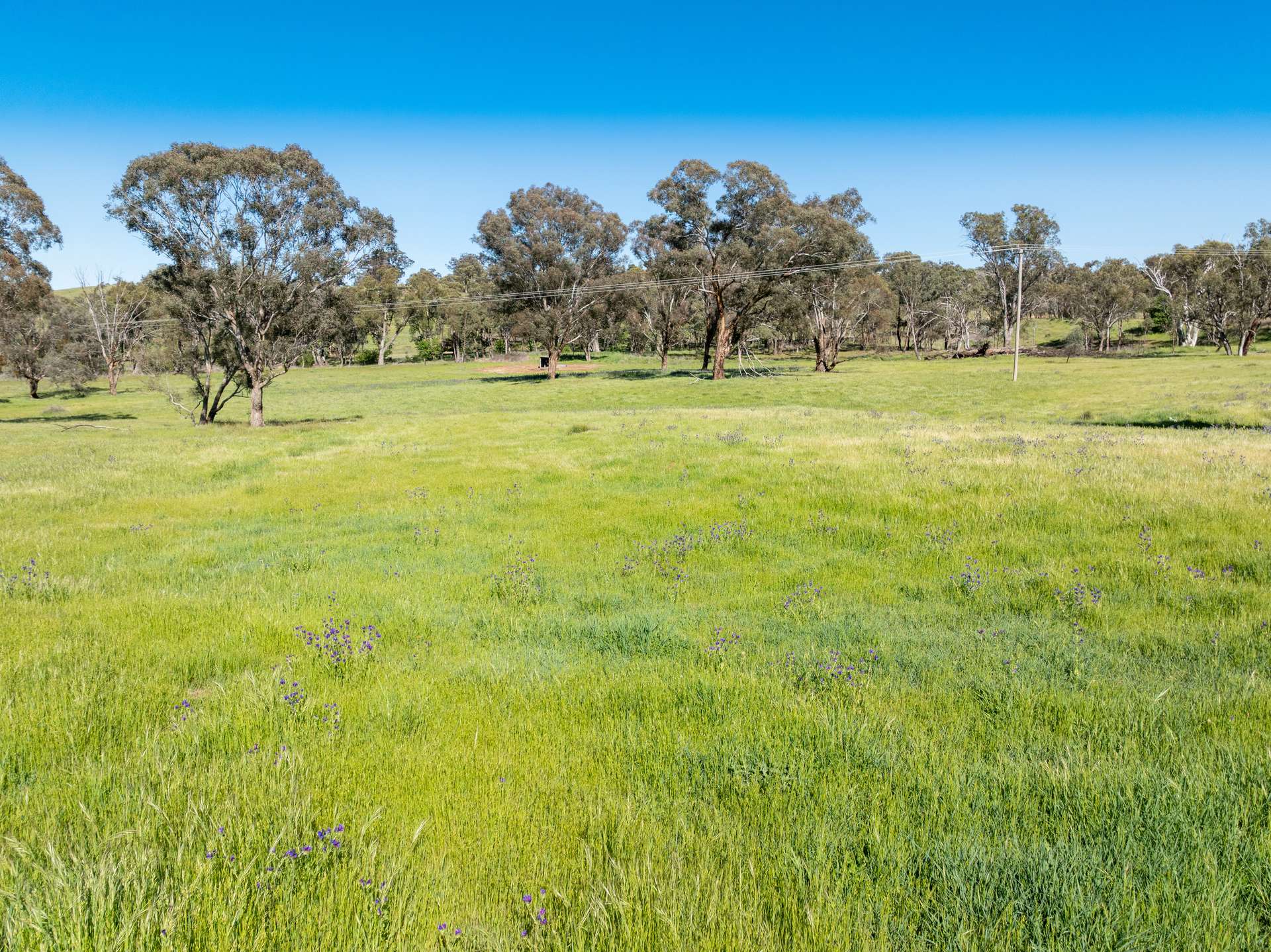 'Weemala' 5736 Burrendong Way, Stuart Town Auction by Farmbuy.com - image 3